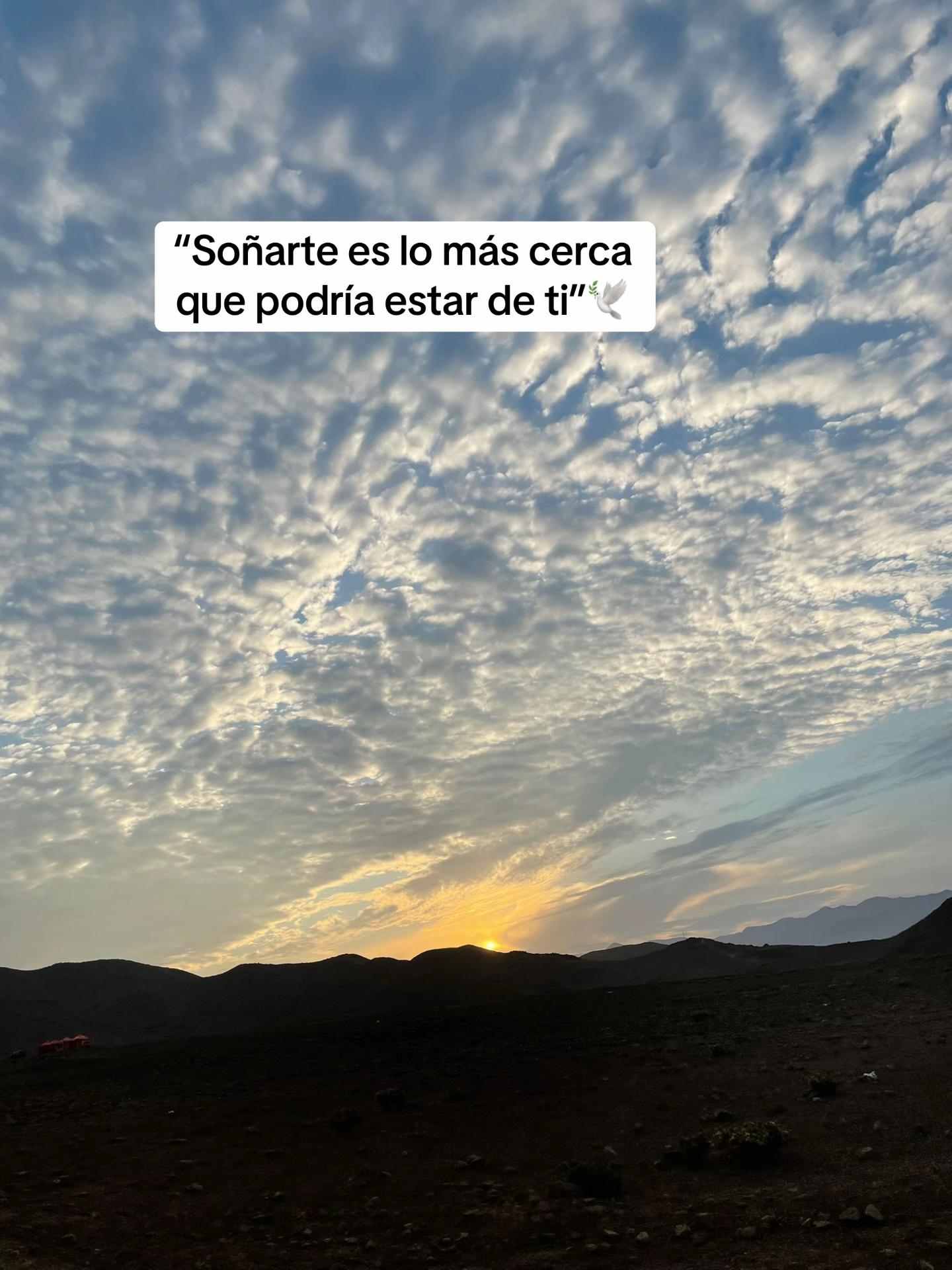 @luzbelizario