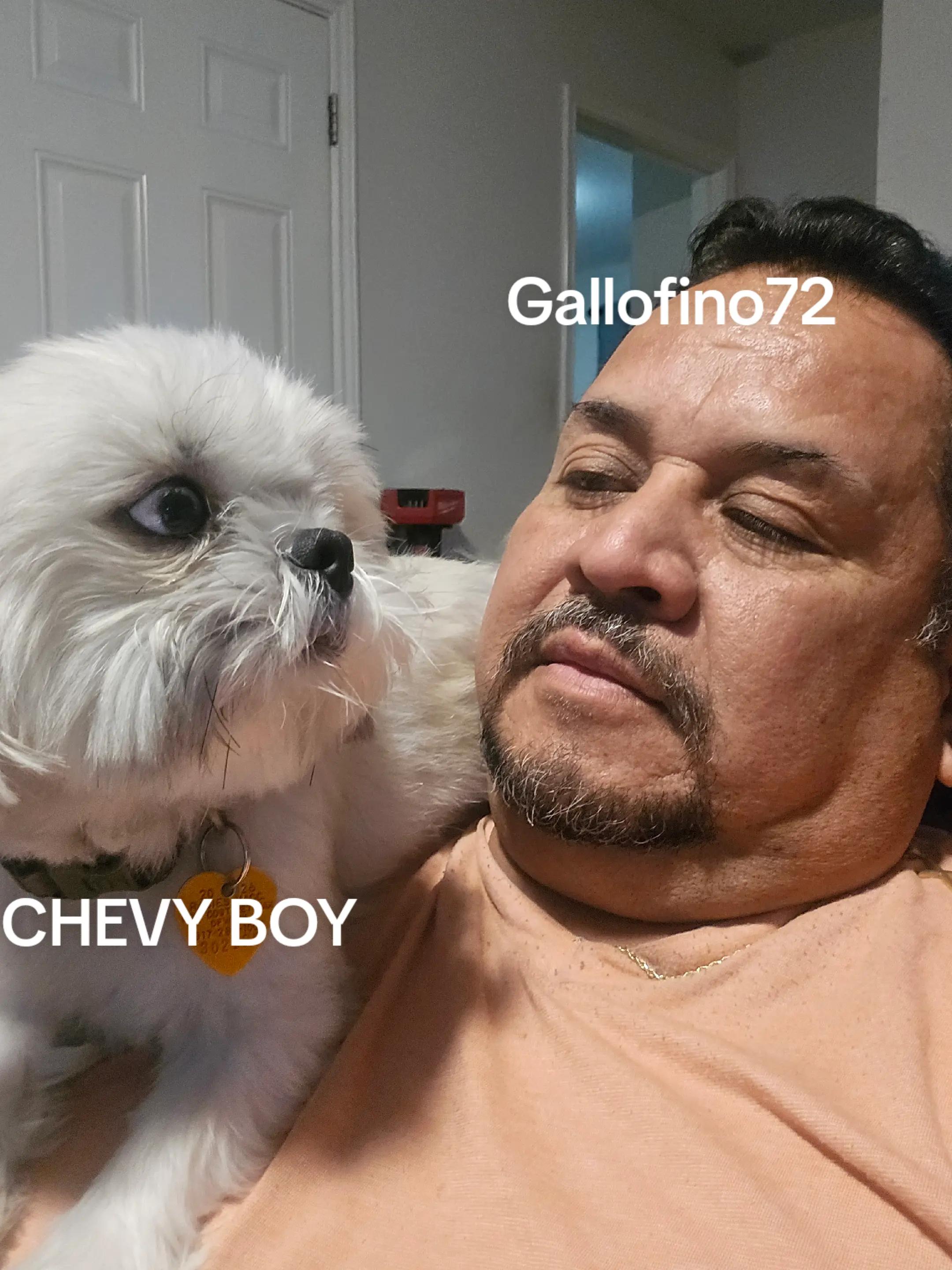 @ElGalloFino
