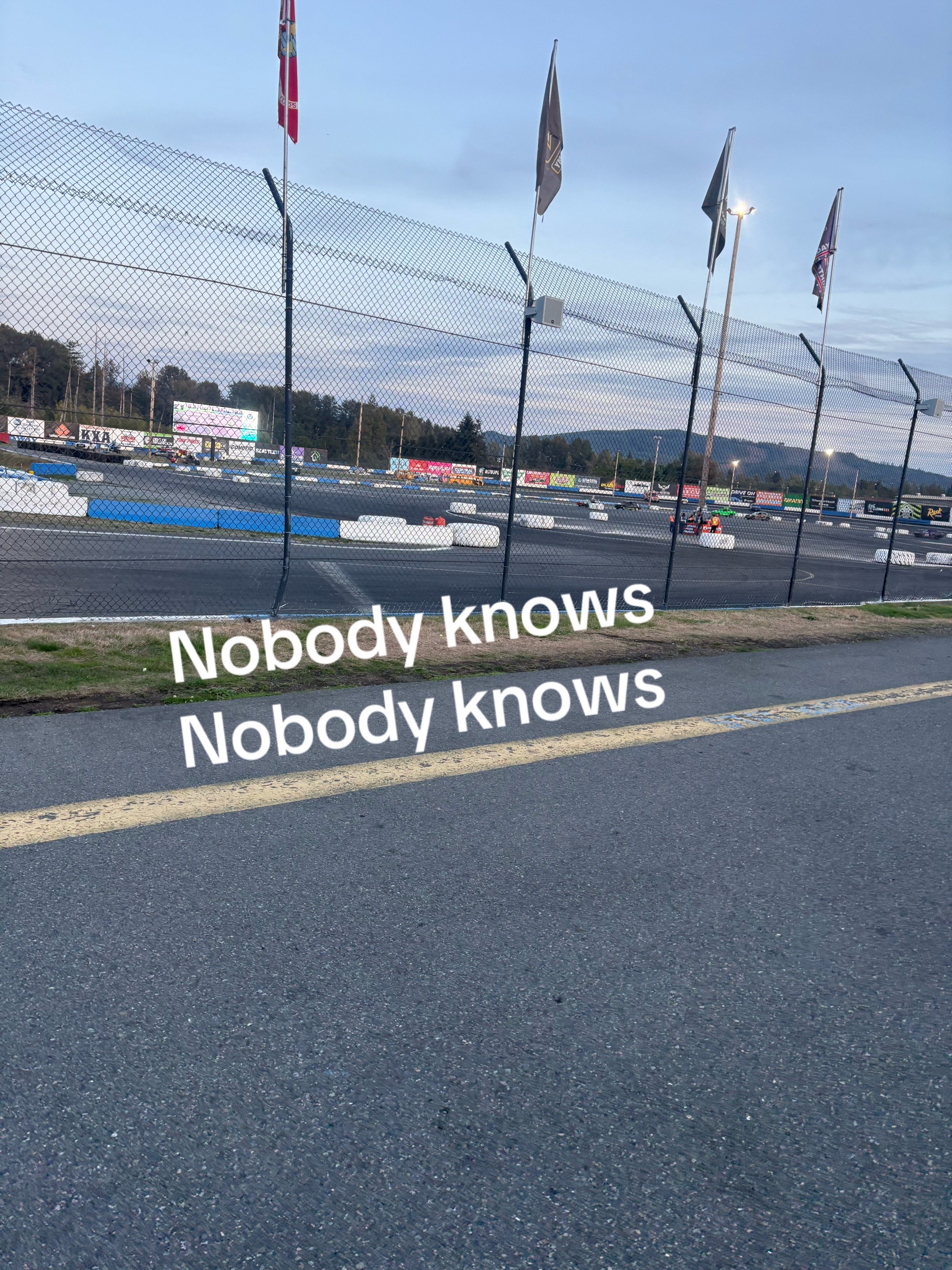 @🌊48v-Matthew🌲
