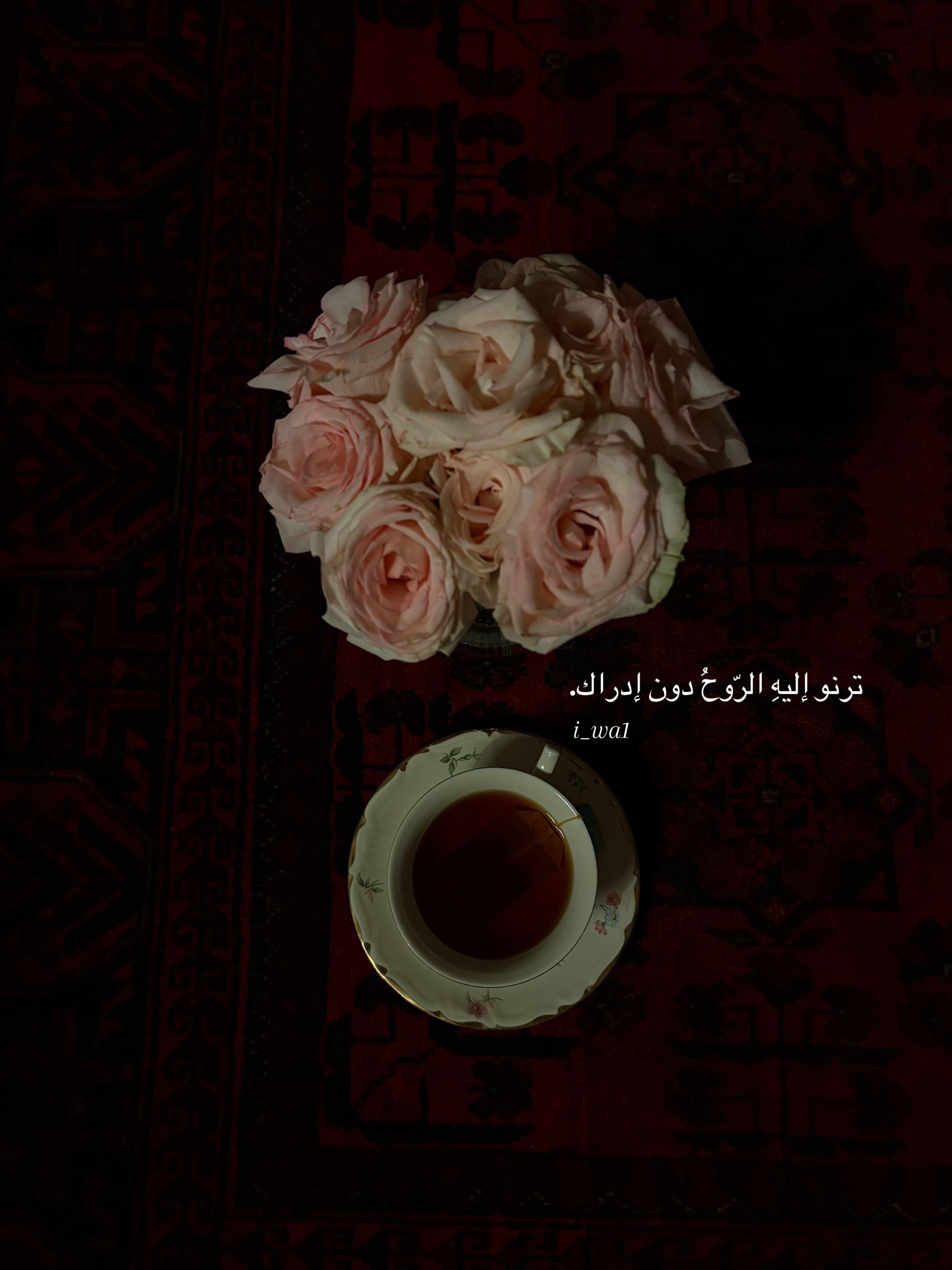 @وفاء🦋
