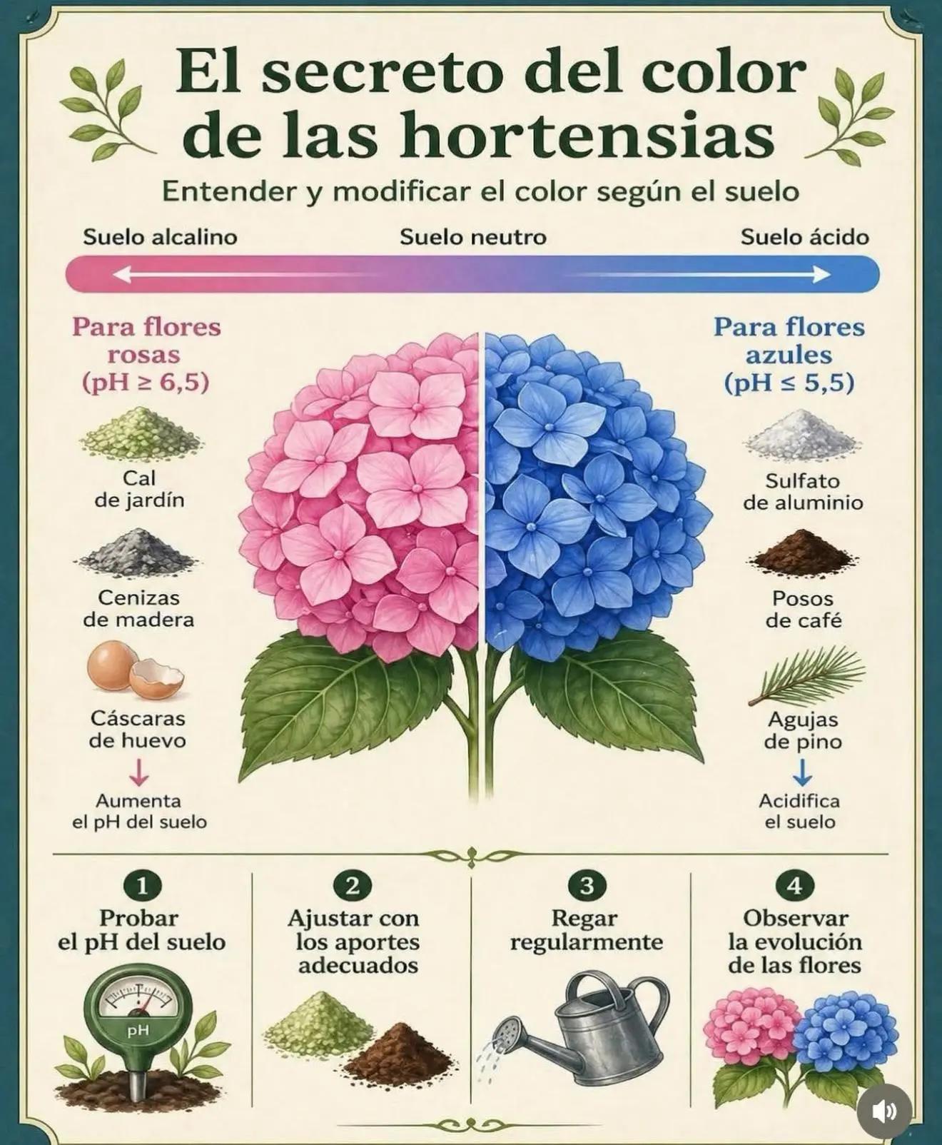 @Lara Lara