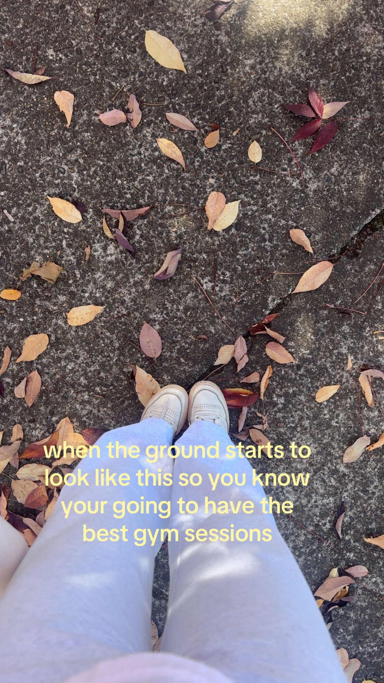 @Averyy