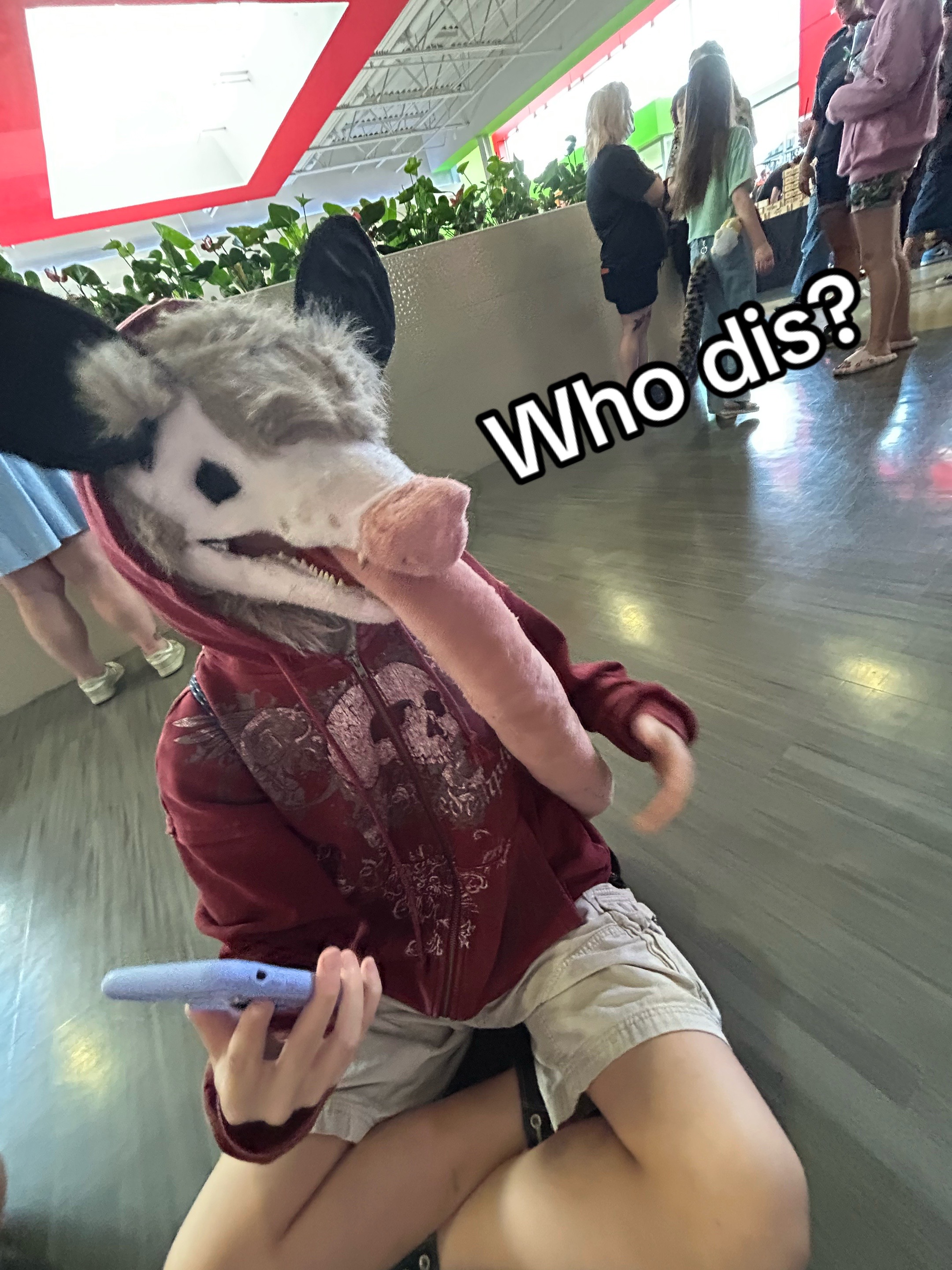 @๐ฆด_๐ฐ๐๐ค๐ฐ๐น๐ข๐ฆ_๐ฆด