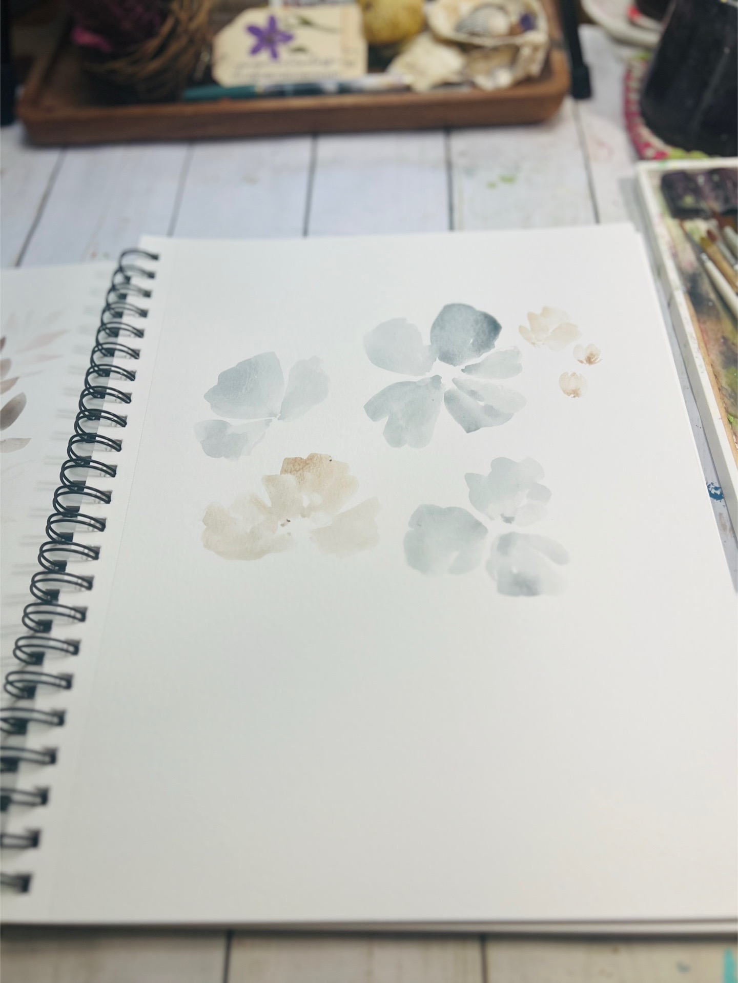 @Juniper Watercolors