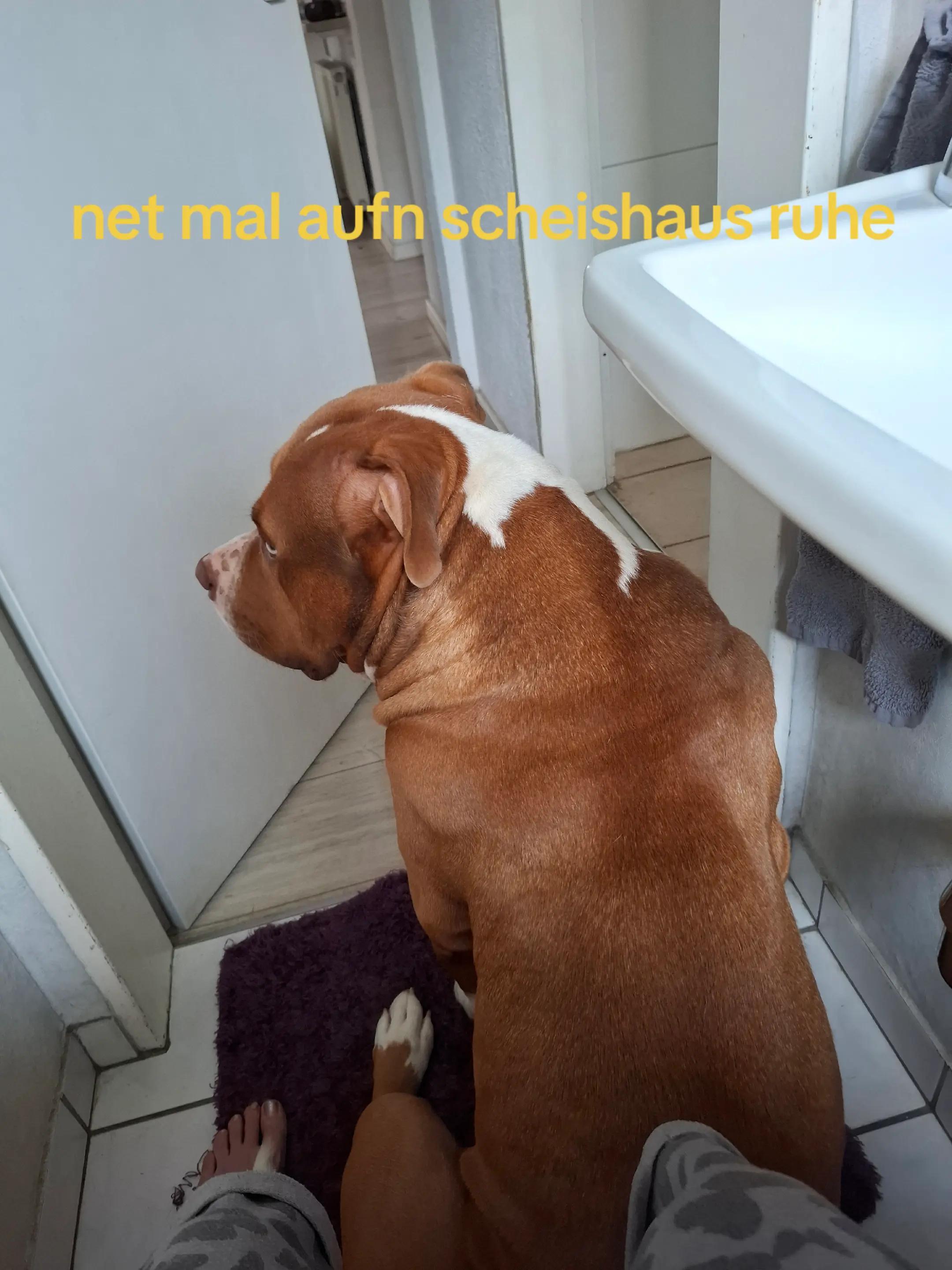 @Sonja mit dem bully