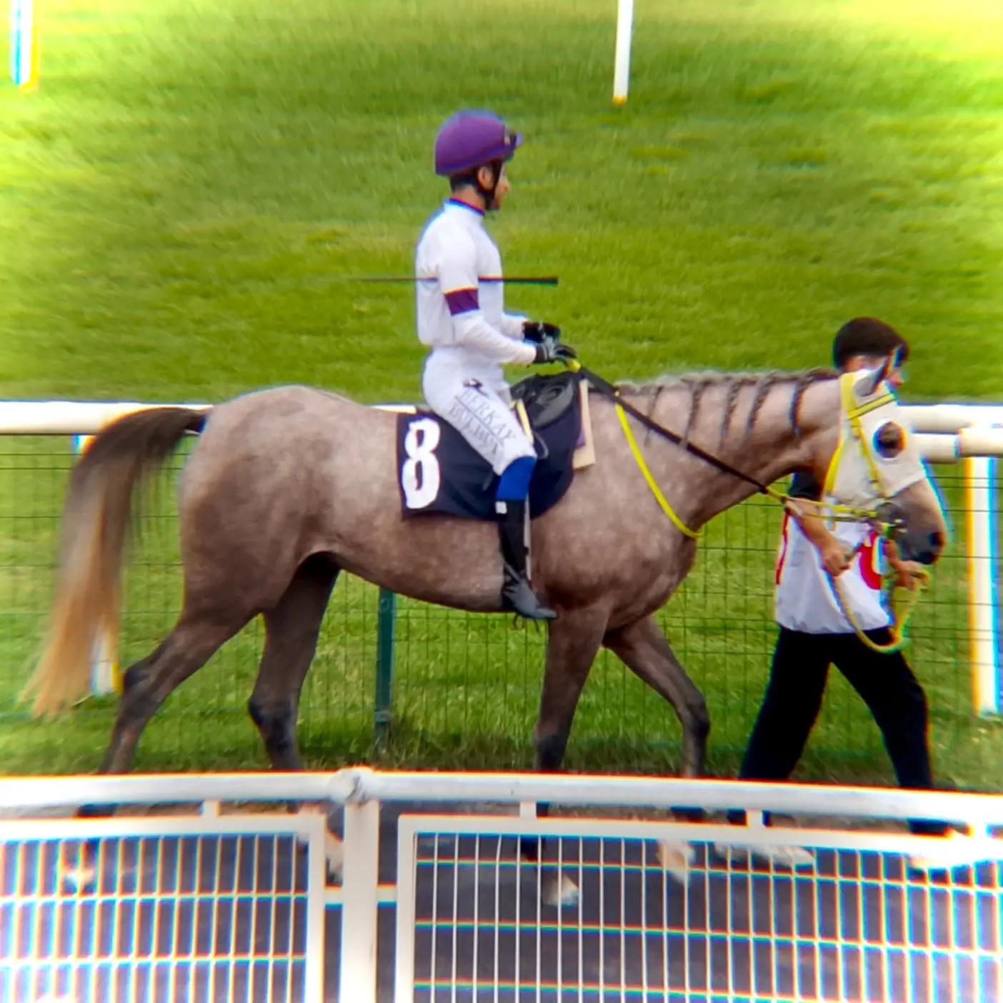 @brs horse racing