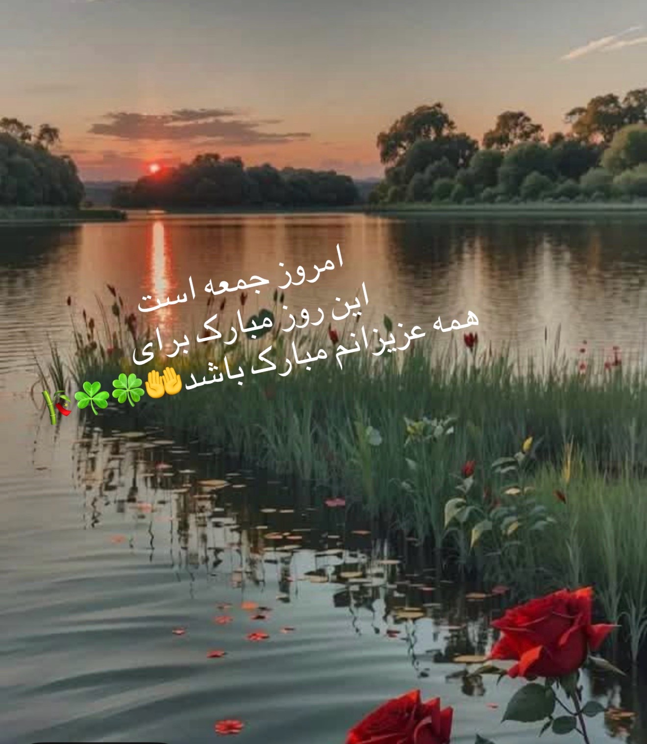 @FROZ@23456🇦🇫❤️🇺🇸