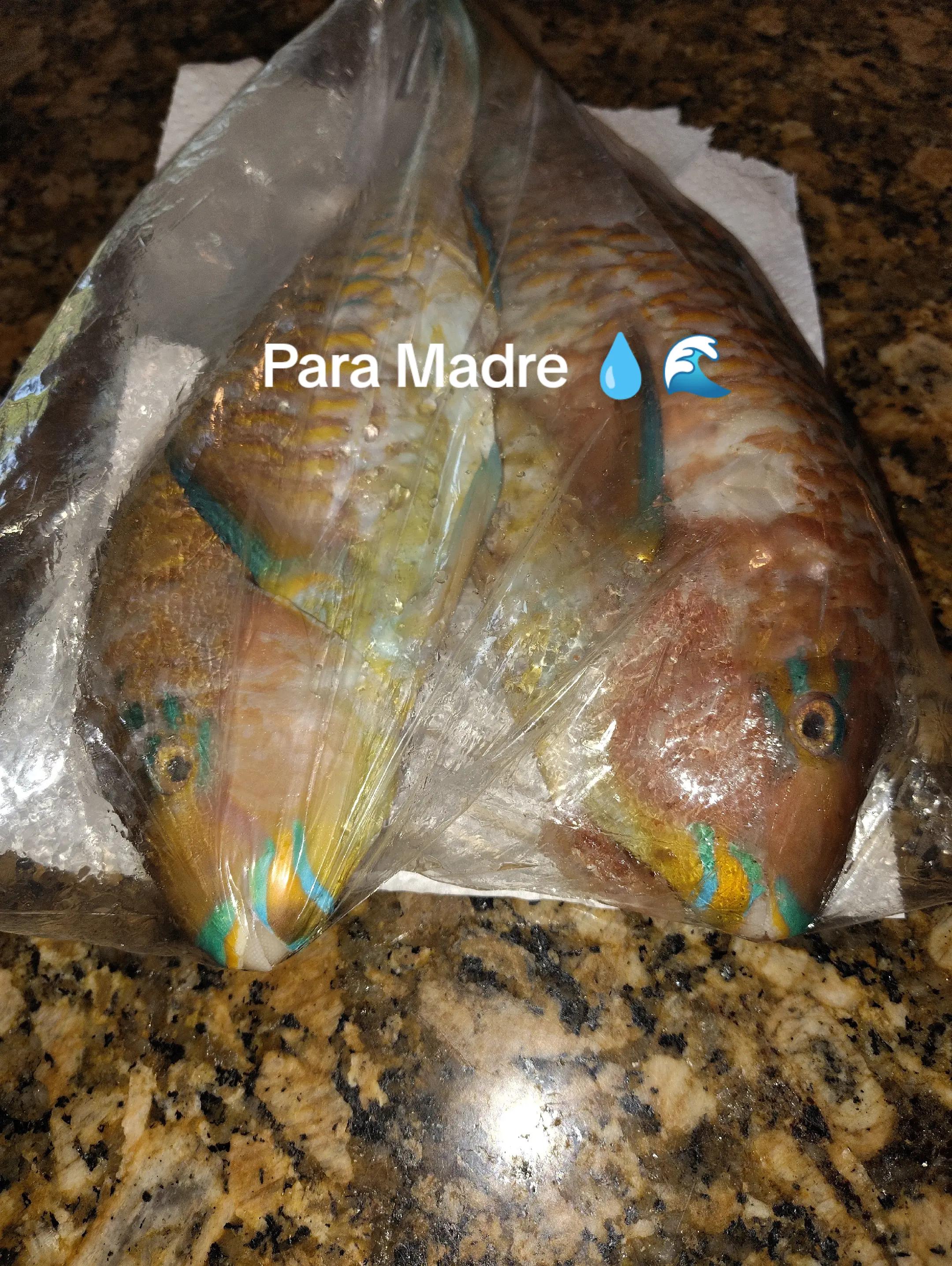 @SaguaLaGrandeTierradeCongo