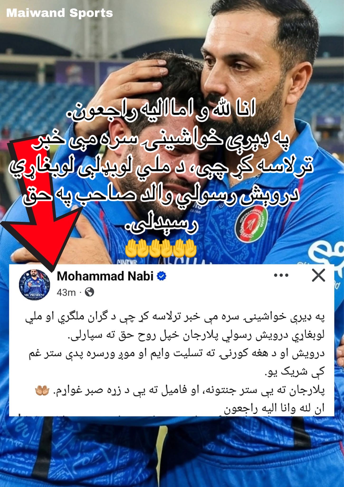 @wazhma Ayoubi