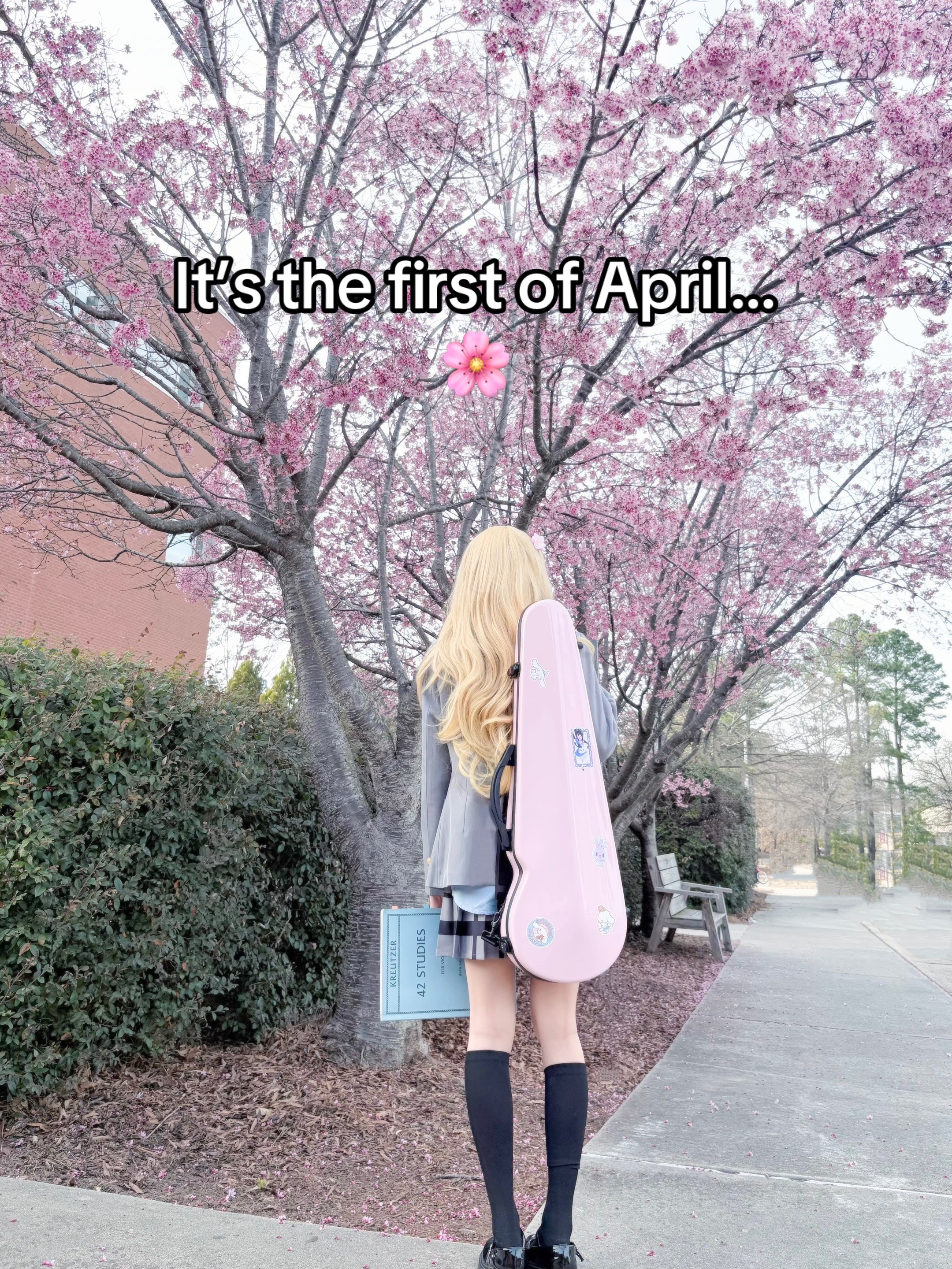 @maid_risa