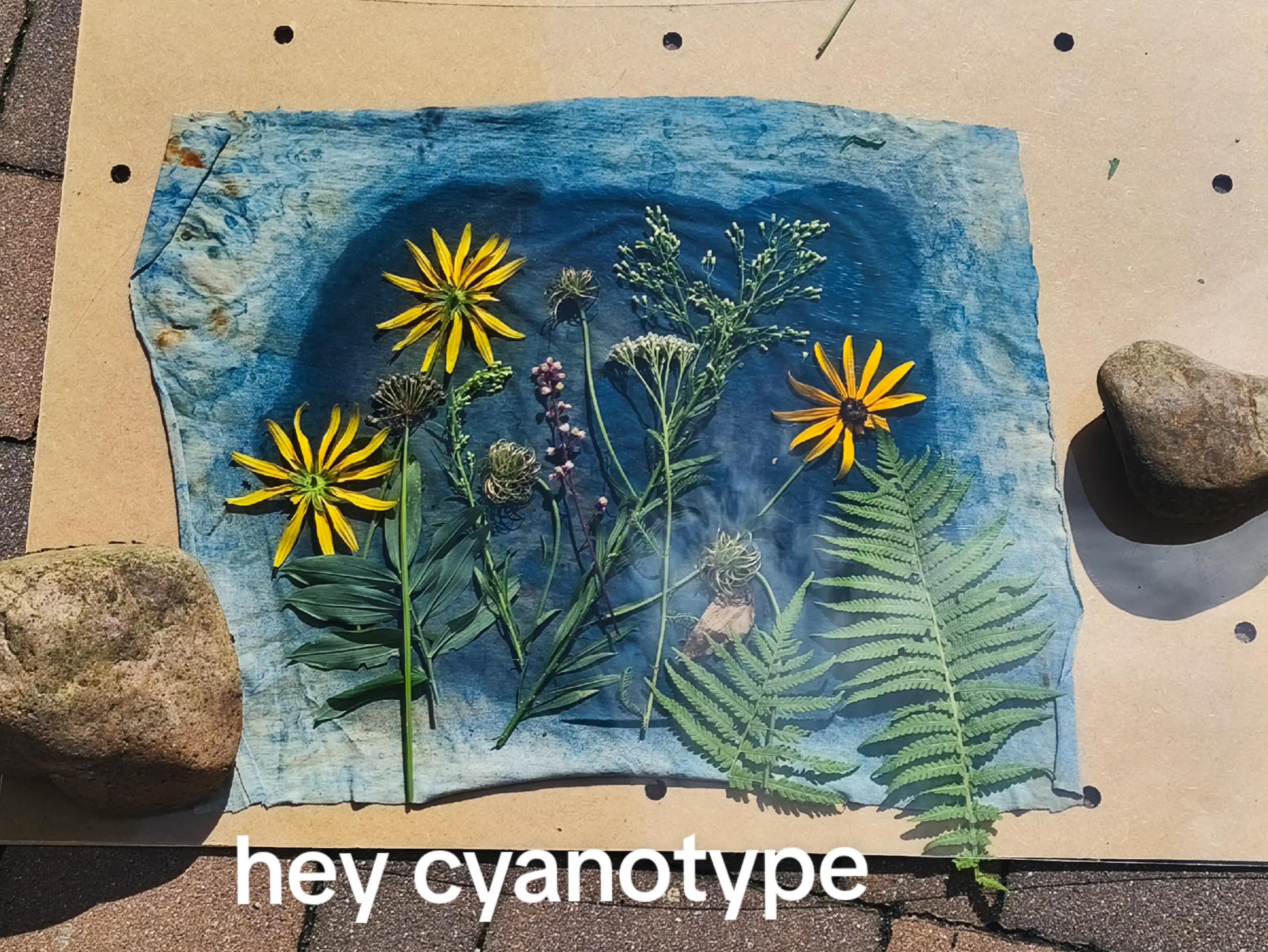 @𓂸
