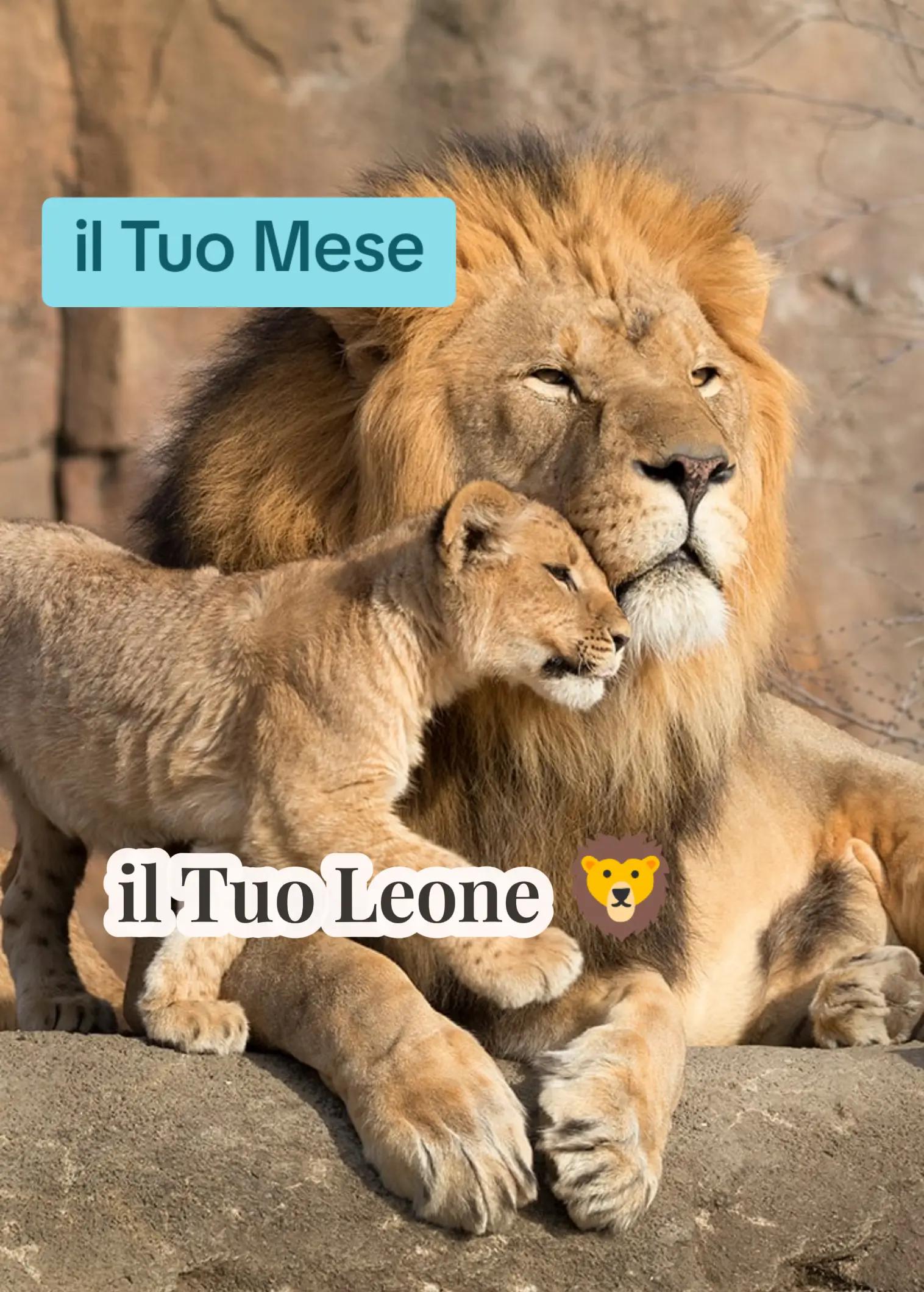 @Generator_Enry10