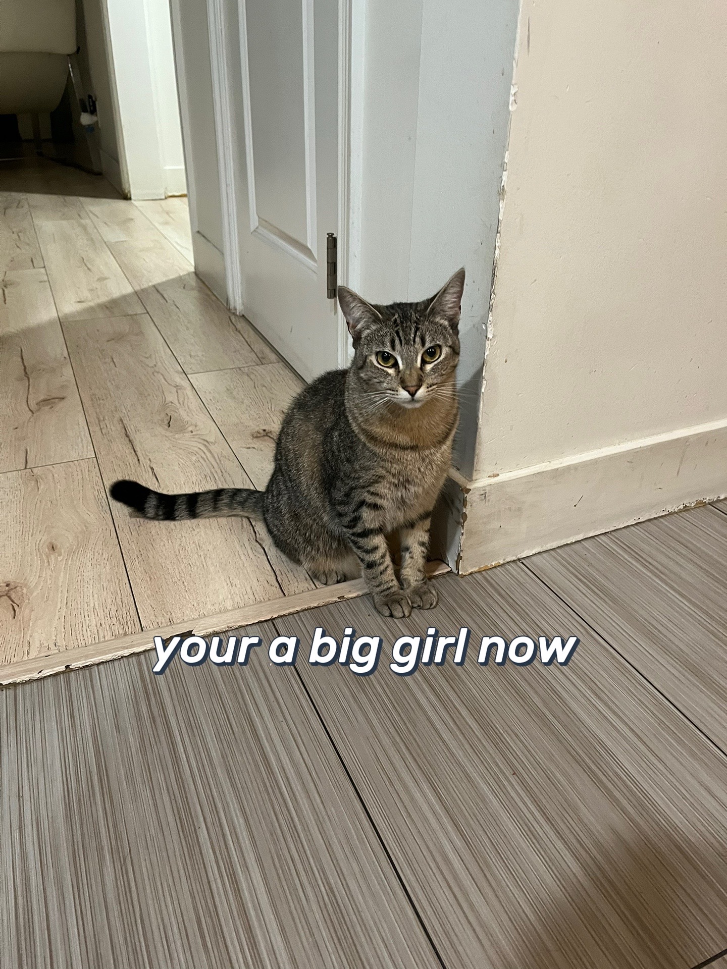@zijn ᯽