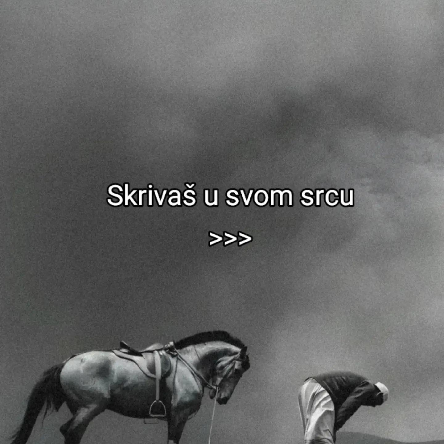 @🤍
