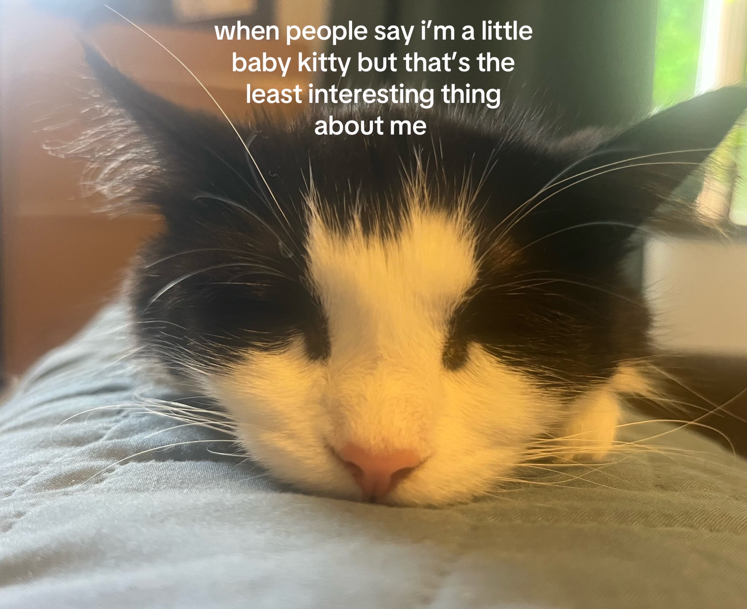 @zoe