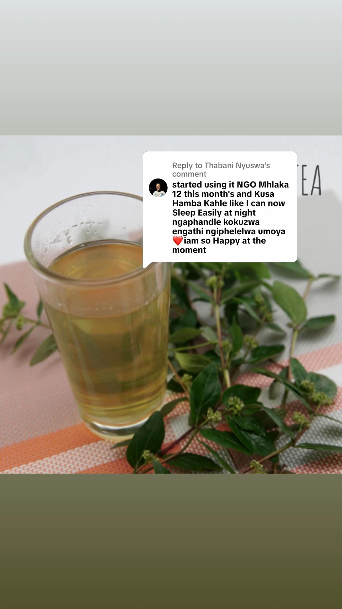 @Asthma-plant_herbalshop