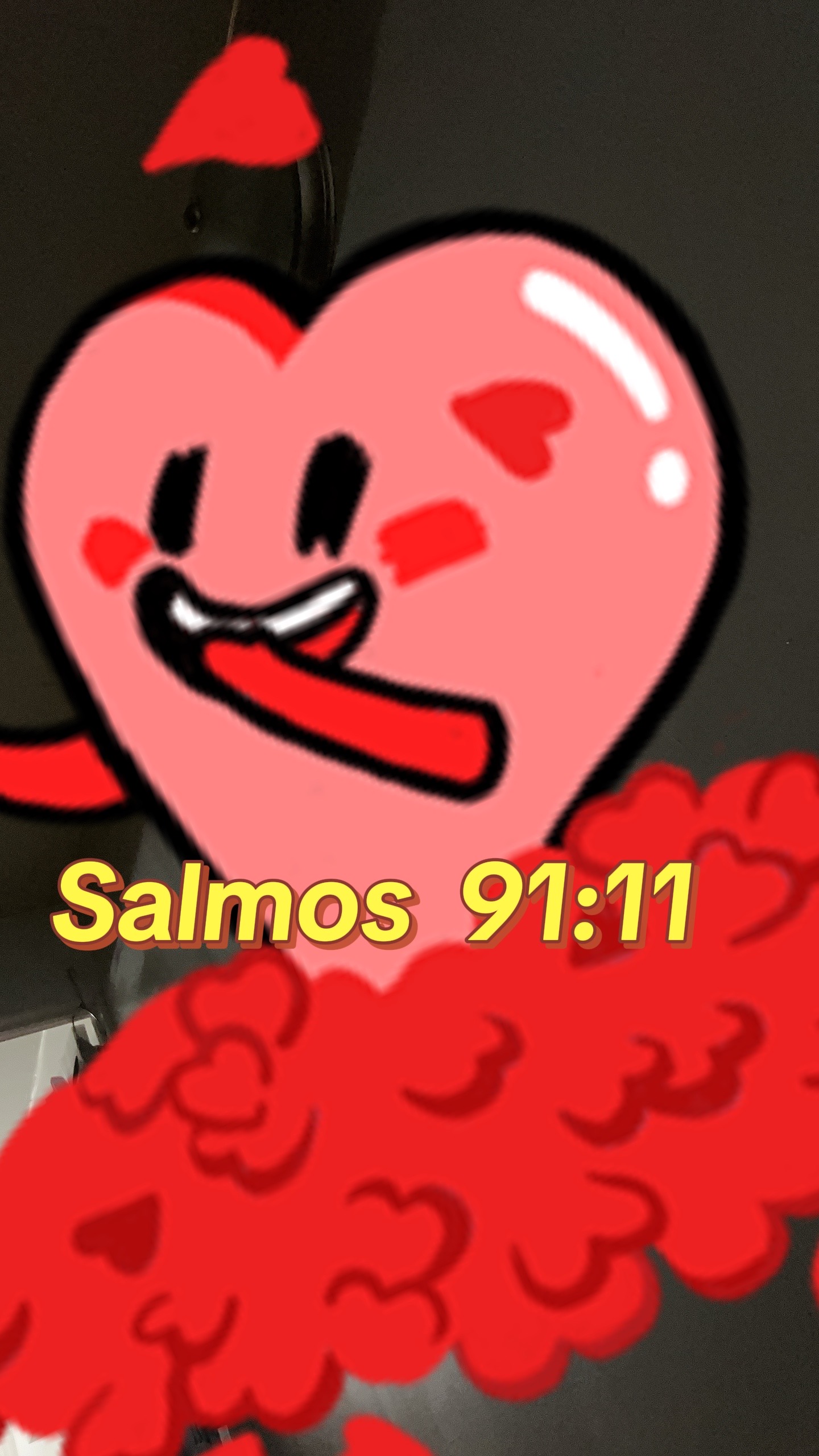 @cindy11.6