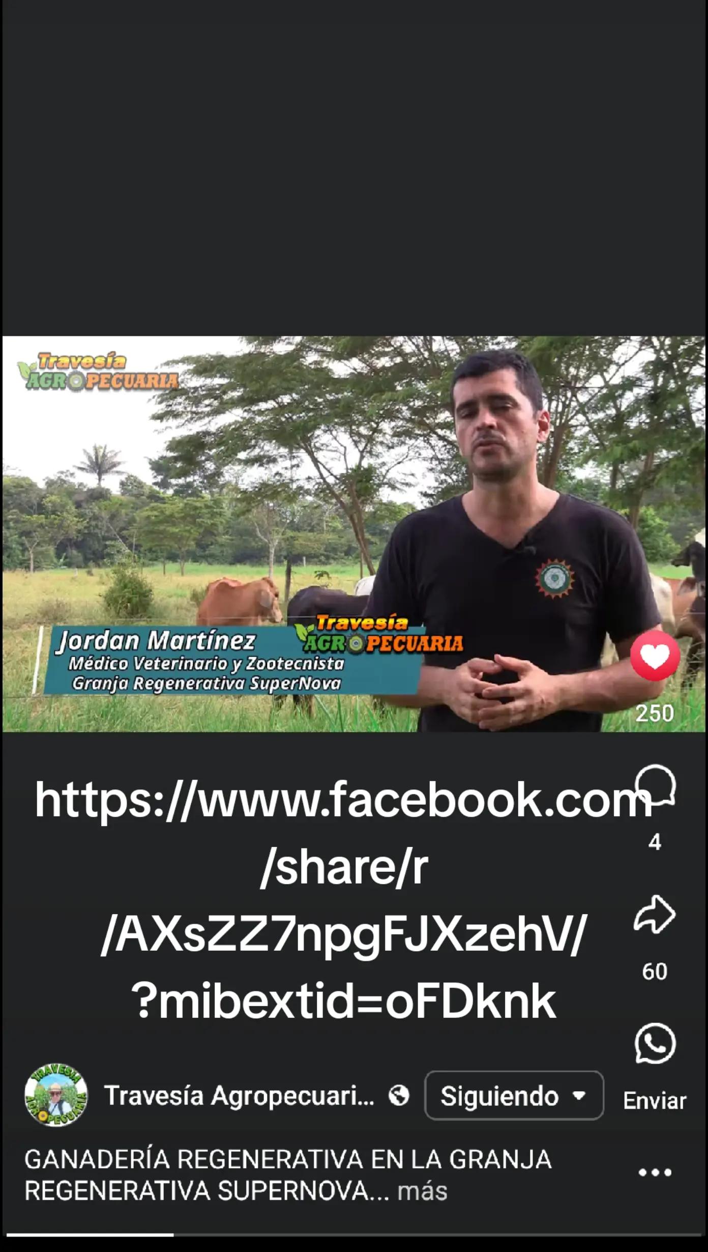 @SuperNovaRegenerative