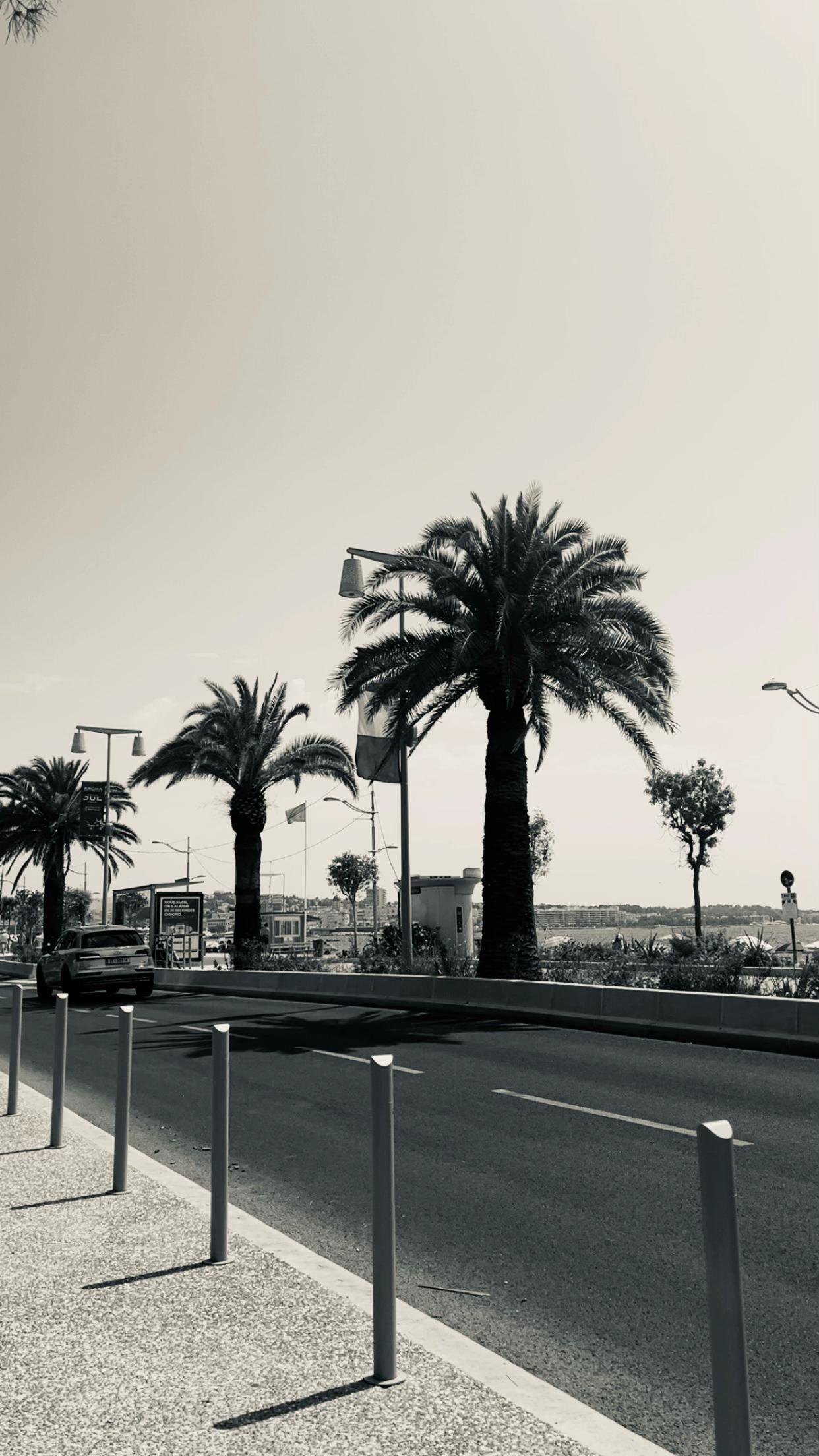 @𝚁 𝙾 𝚂 𝙴