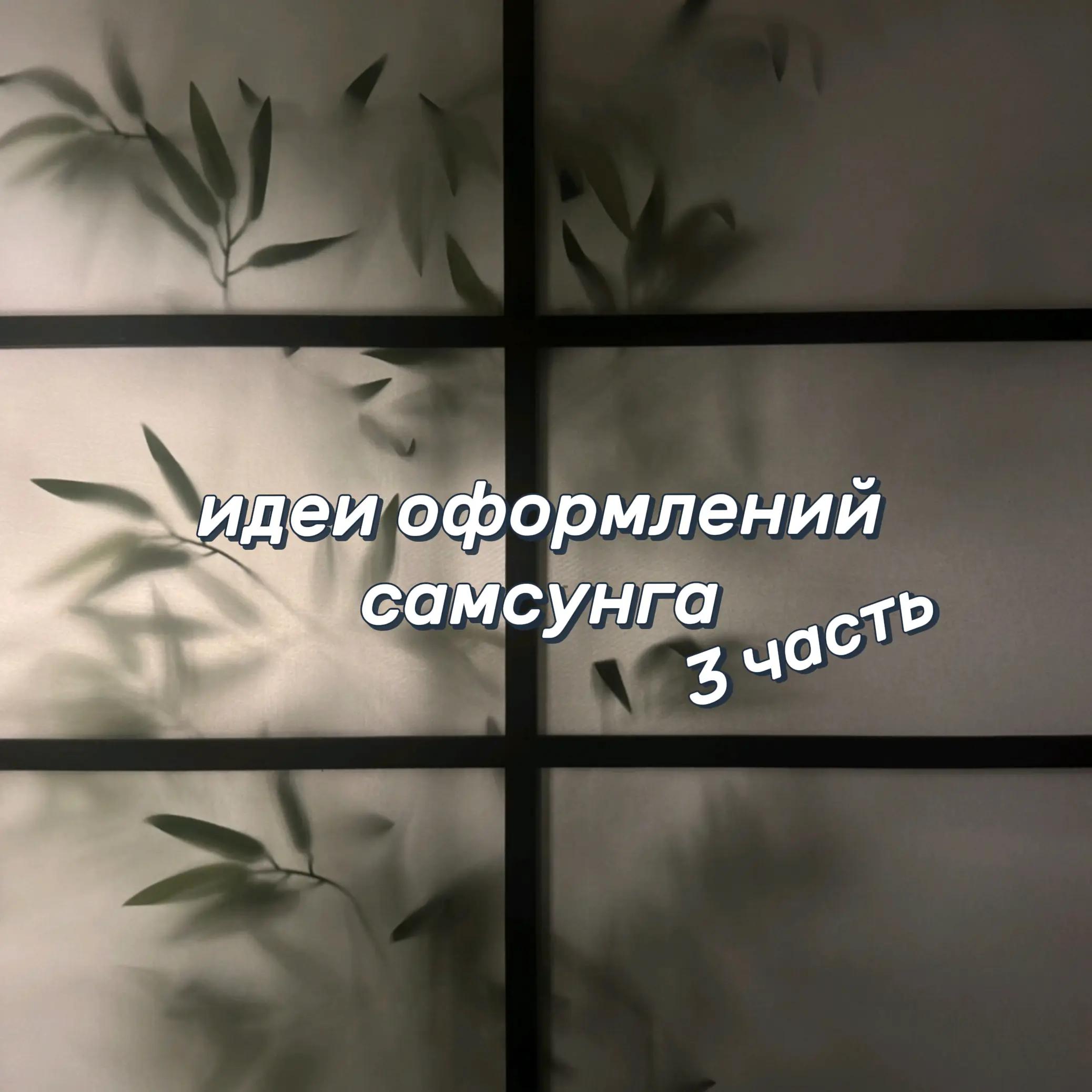 @🌻тгк: zi9ota🎋