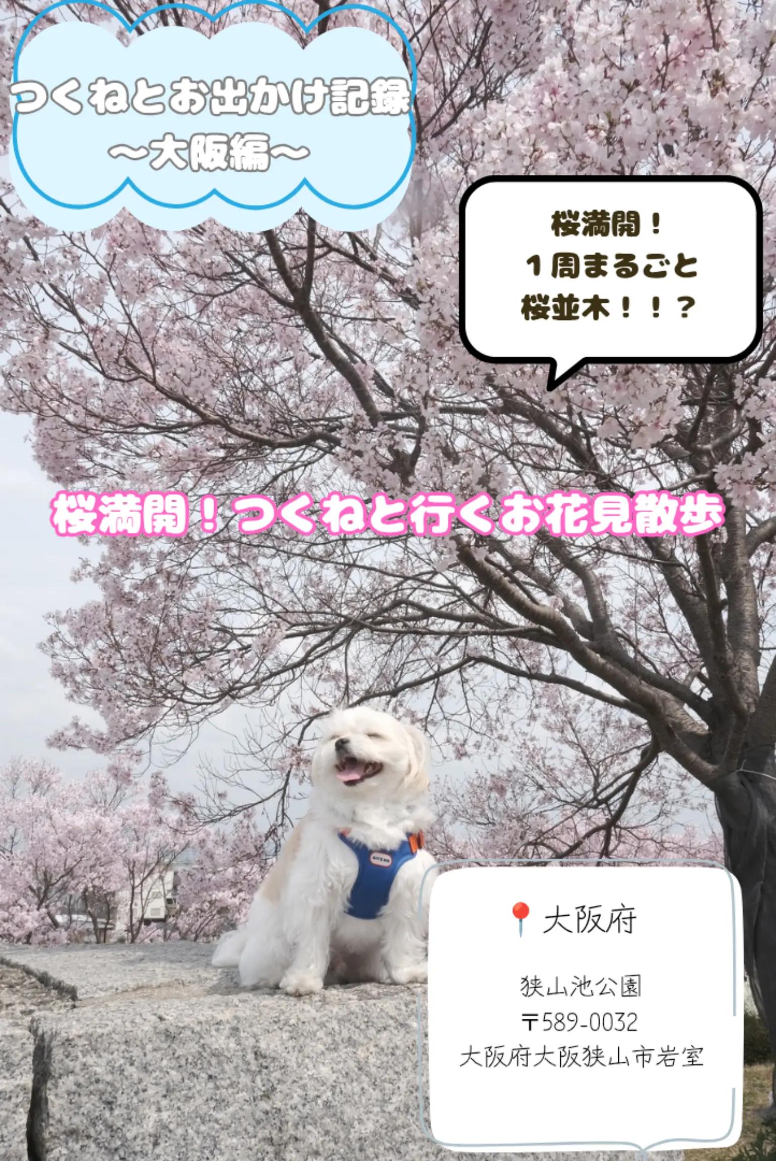 @つくねくん