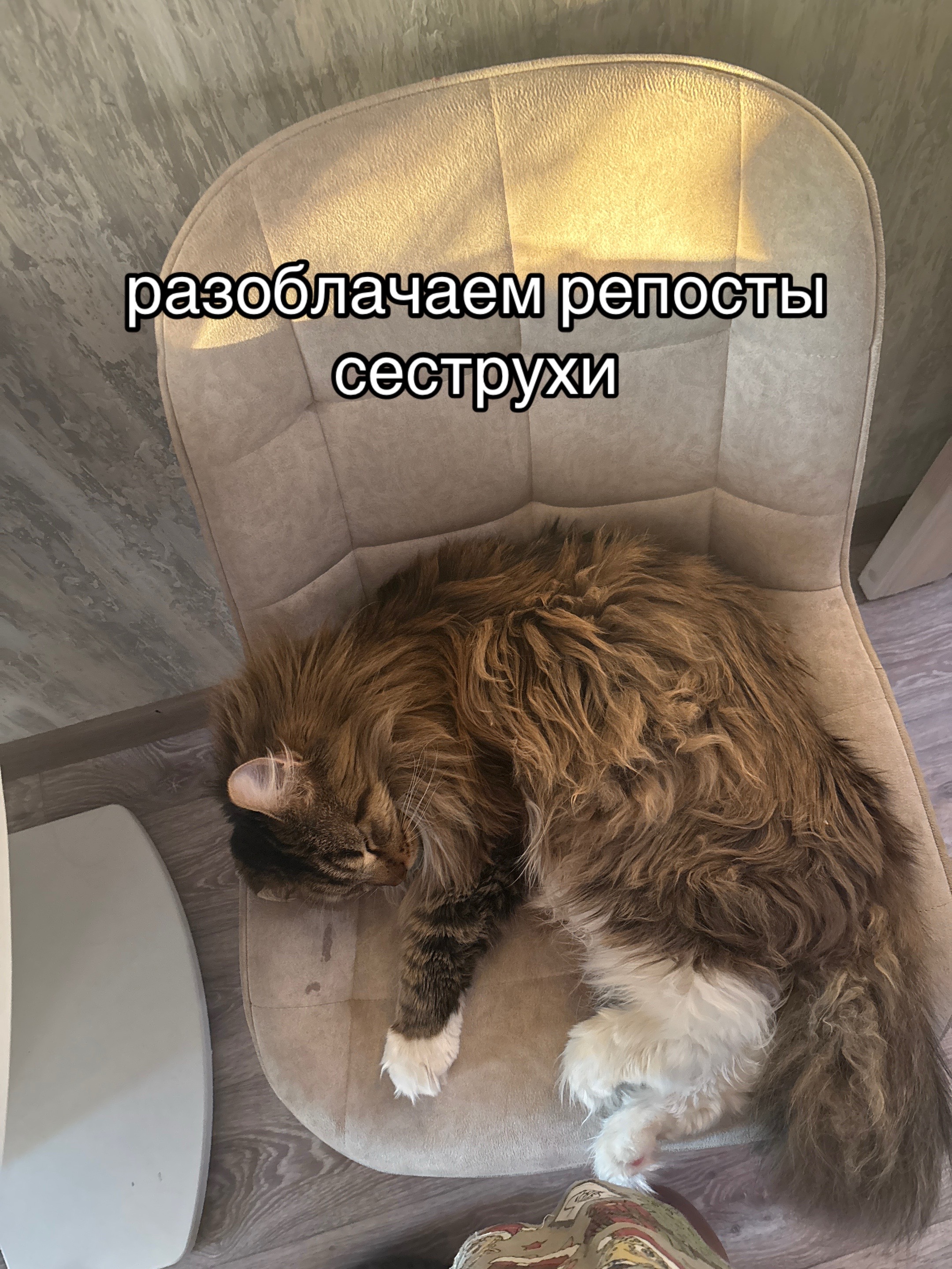 @ралинка💕