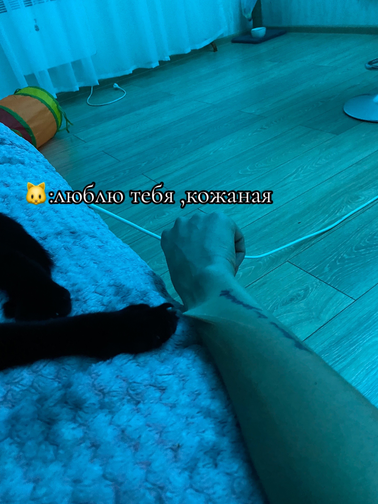@id_sasha_zubko