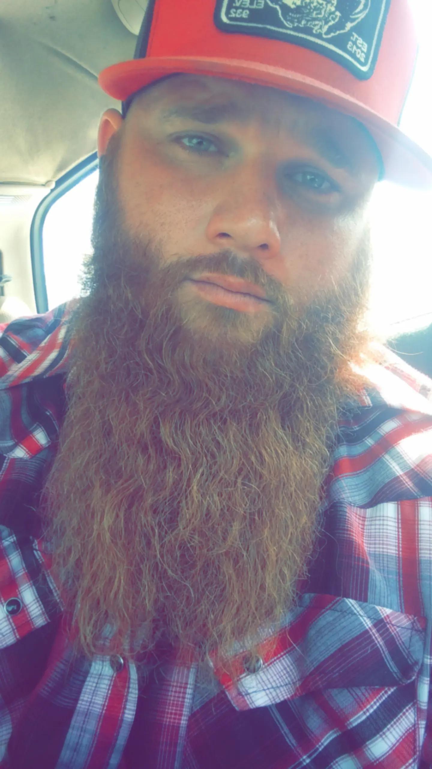 @beardedbirdie