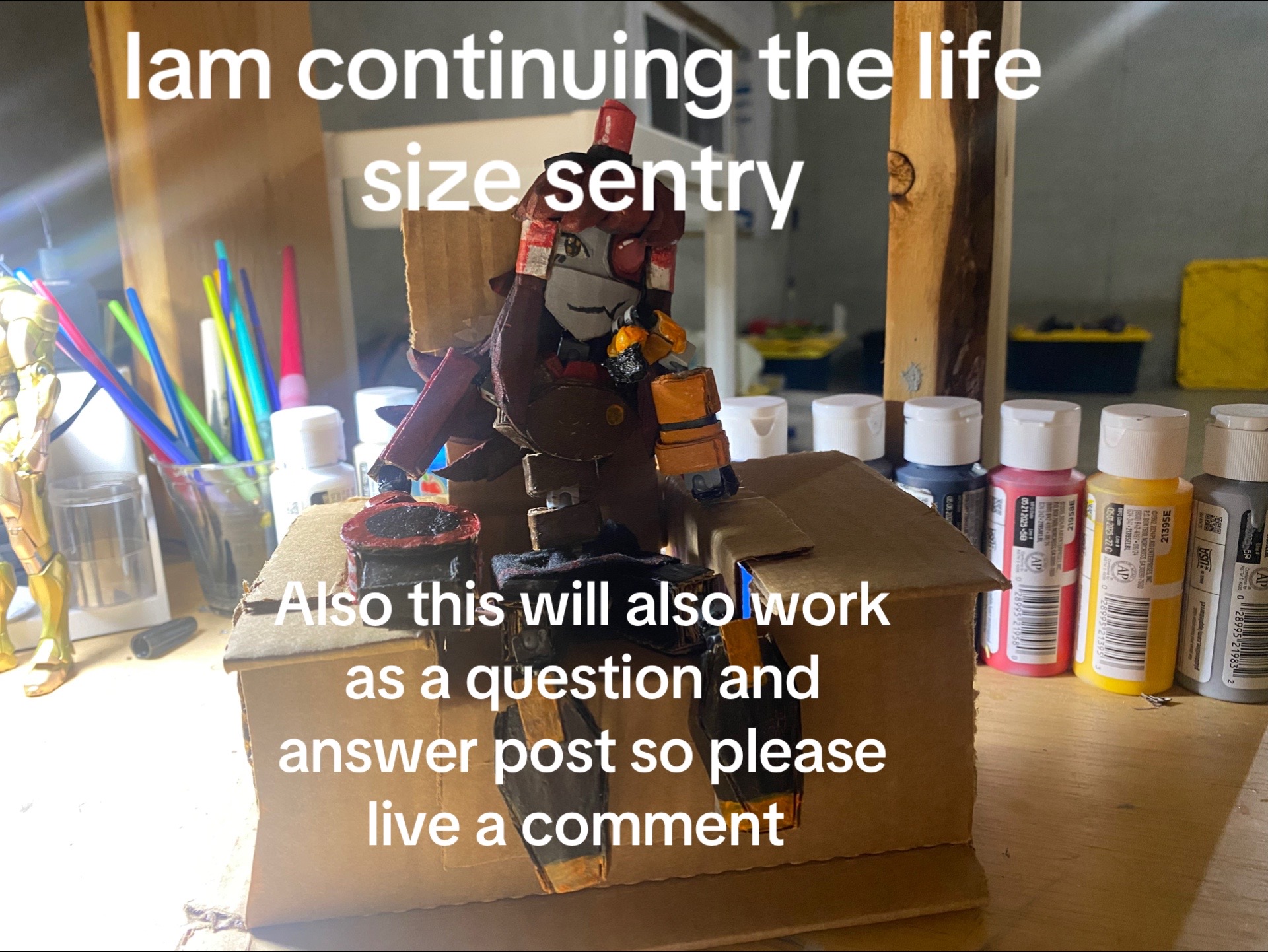 @projectsentry1