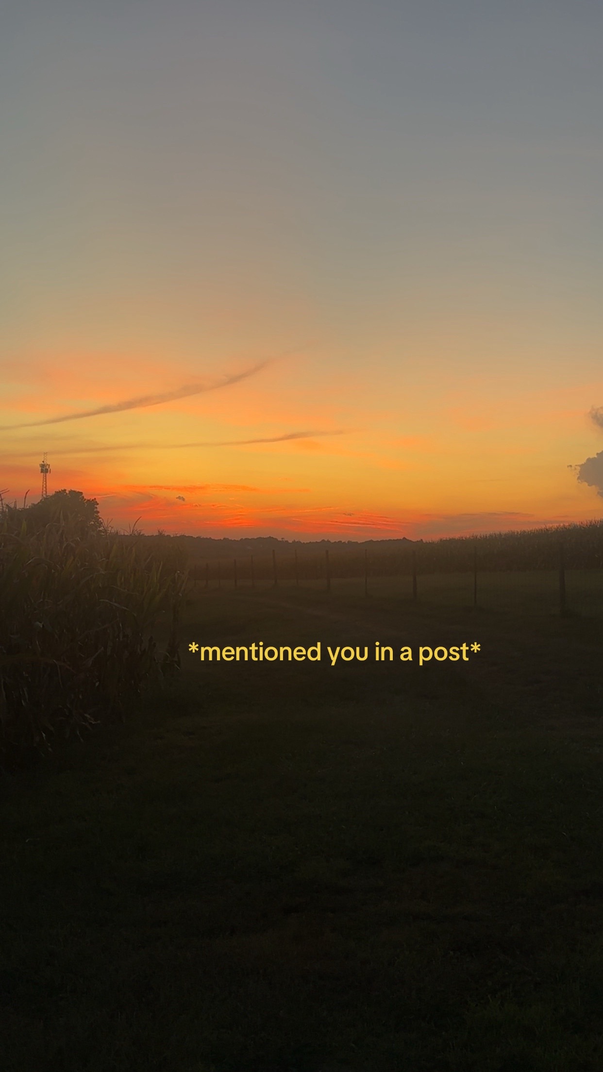 @autumn