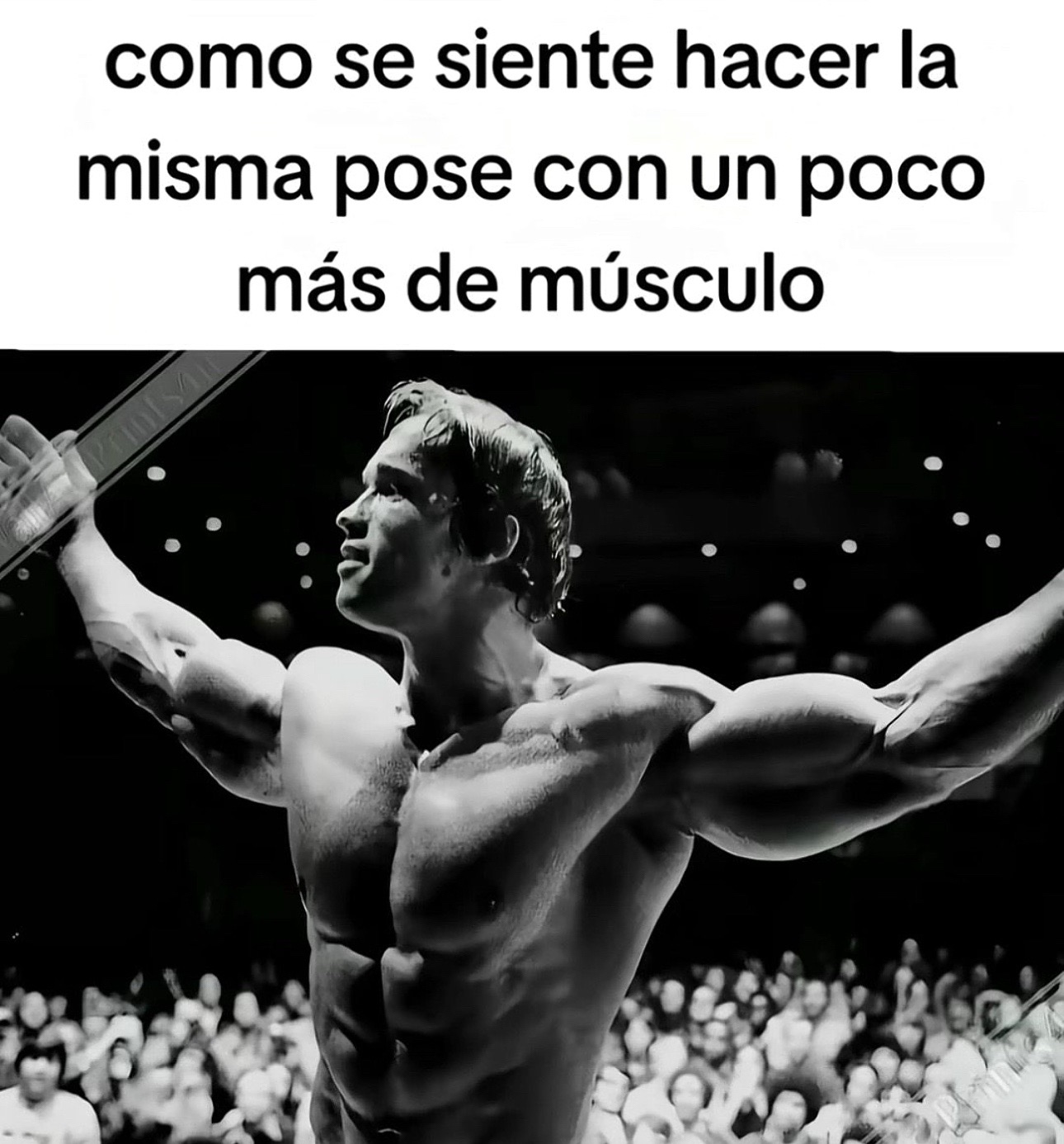 @Andrea Bio