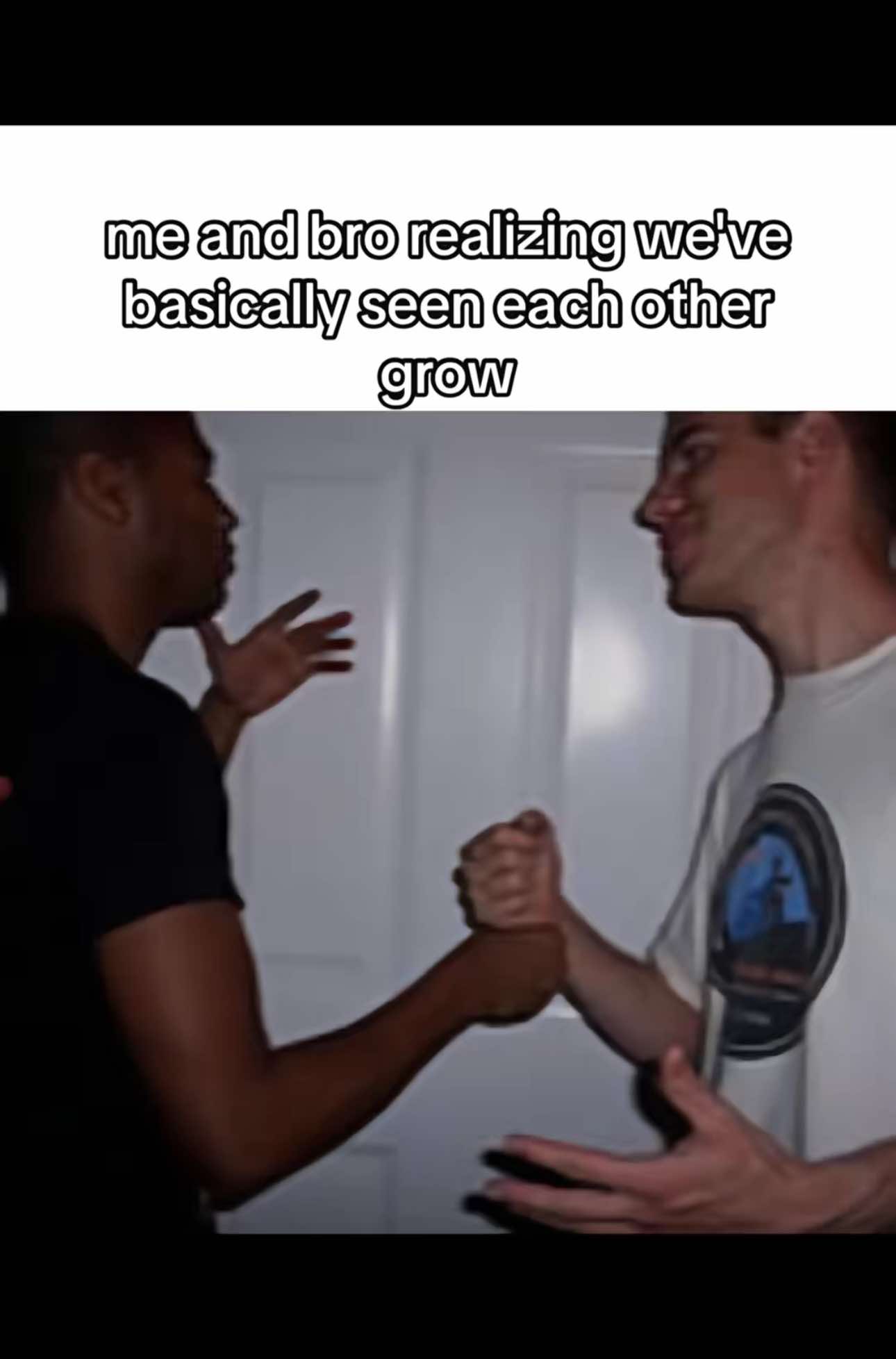 @alaina 🕸️