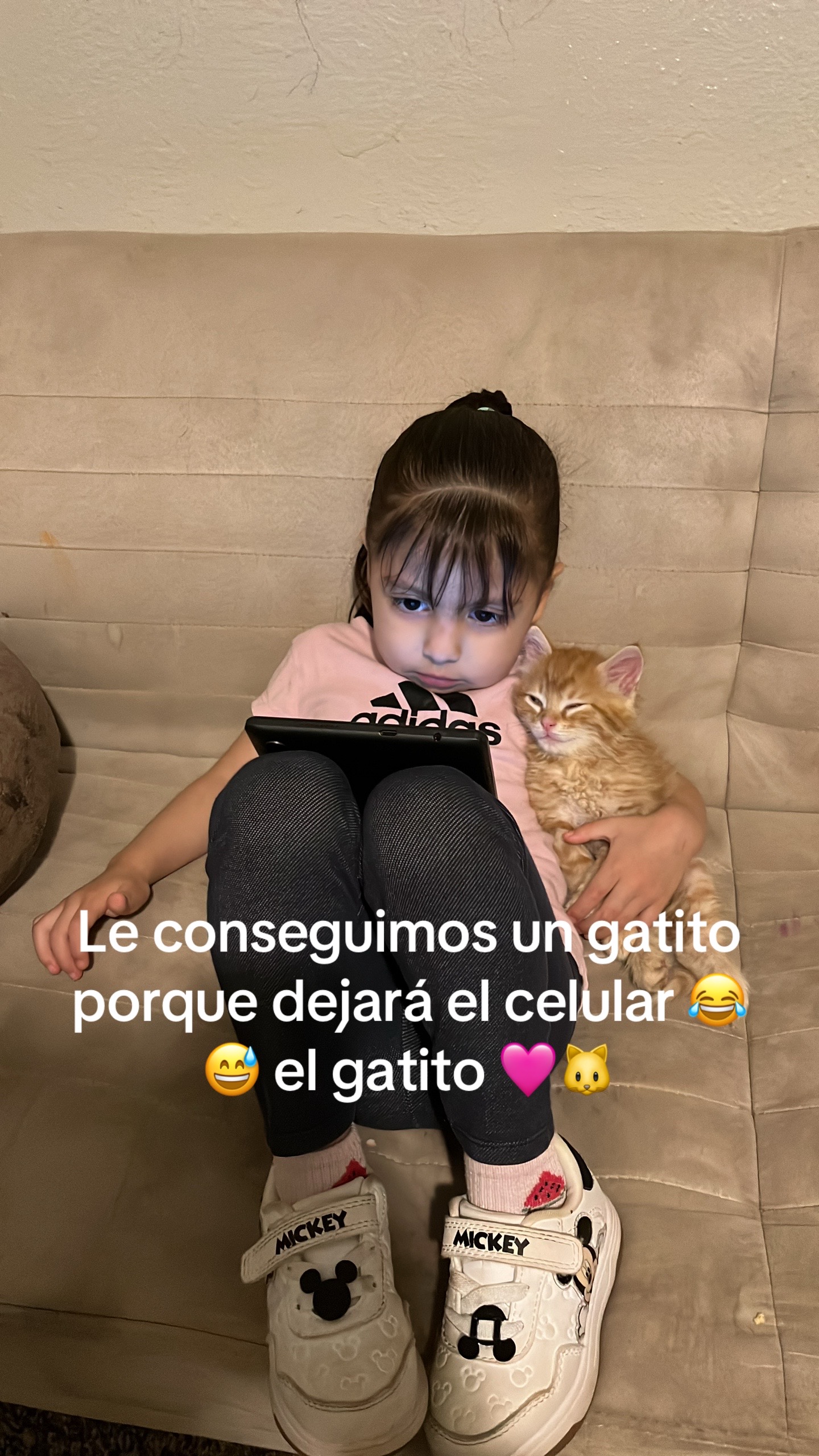 @Bibi