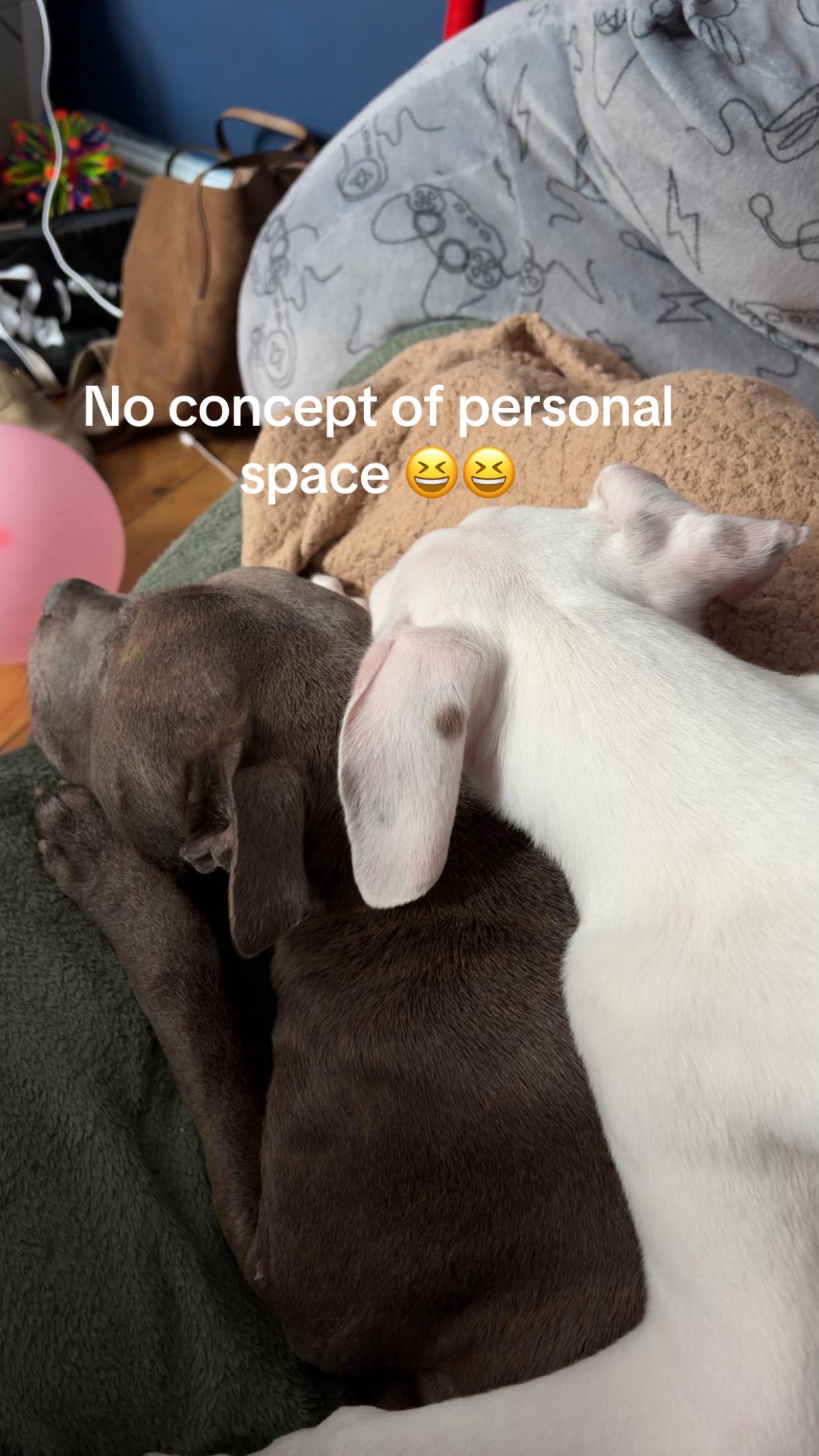 @Inkedmum