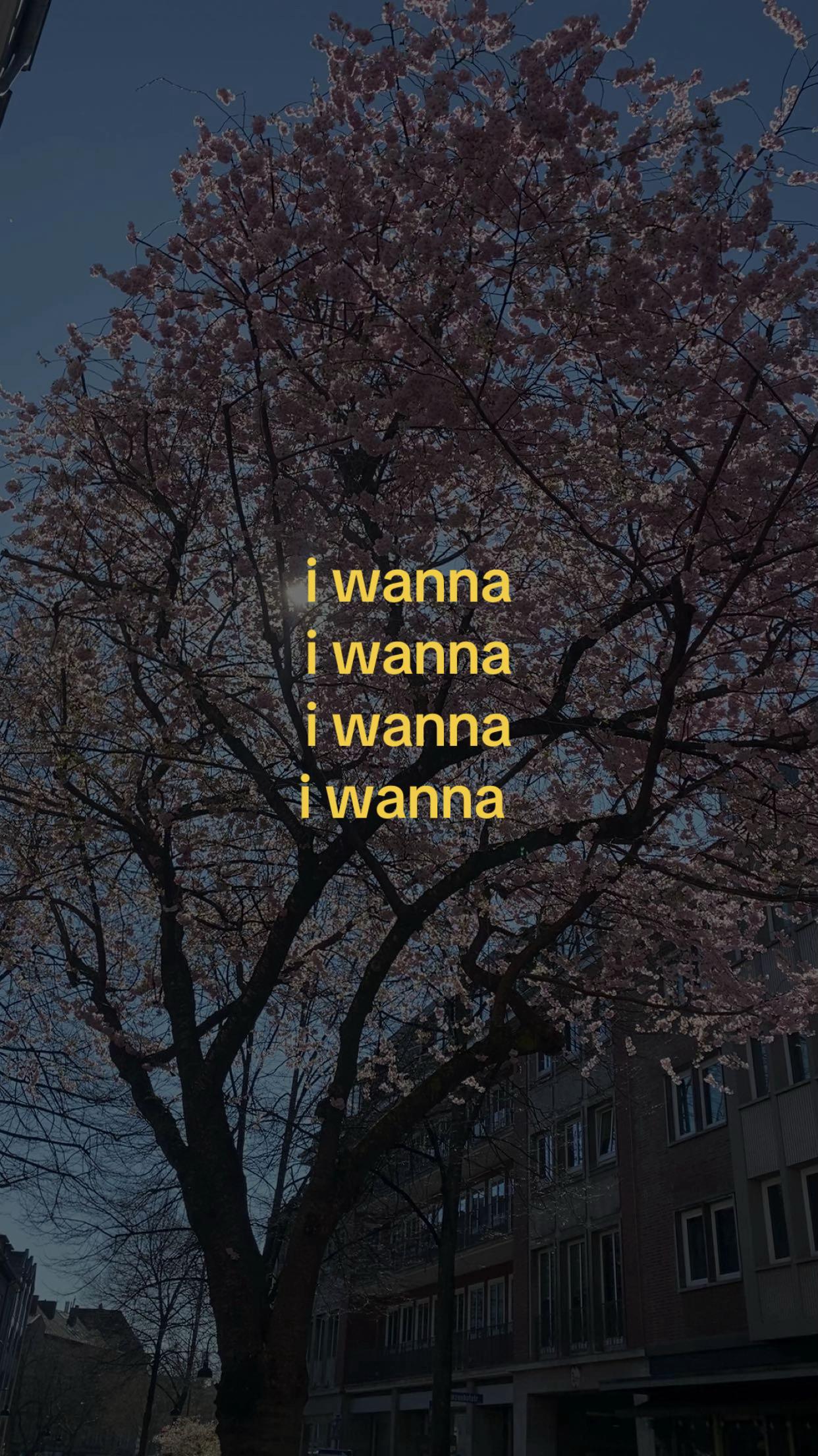 @E4N🕊️