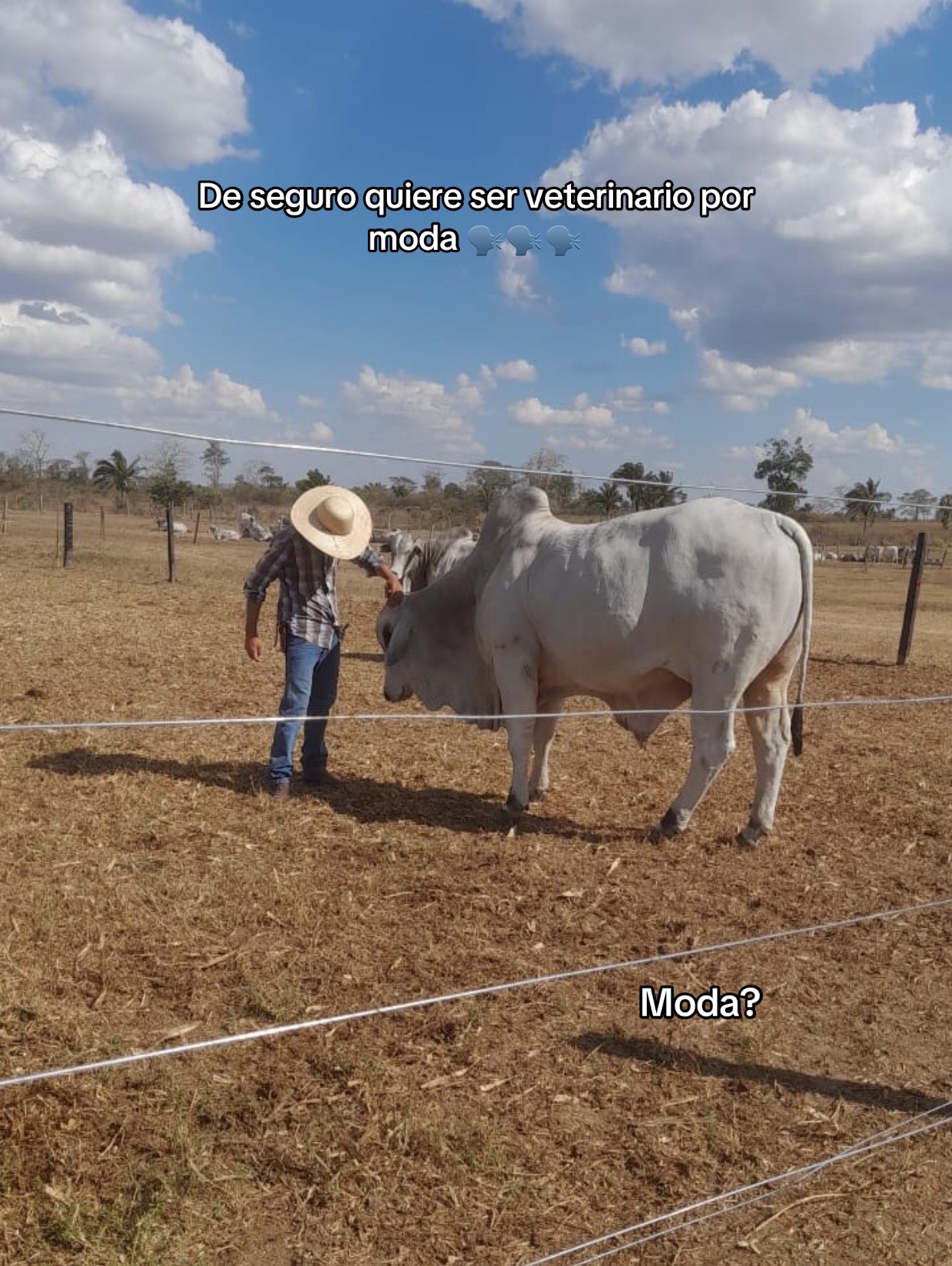 @RODRIGO ML 