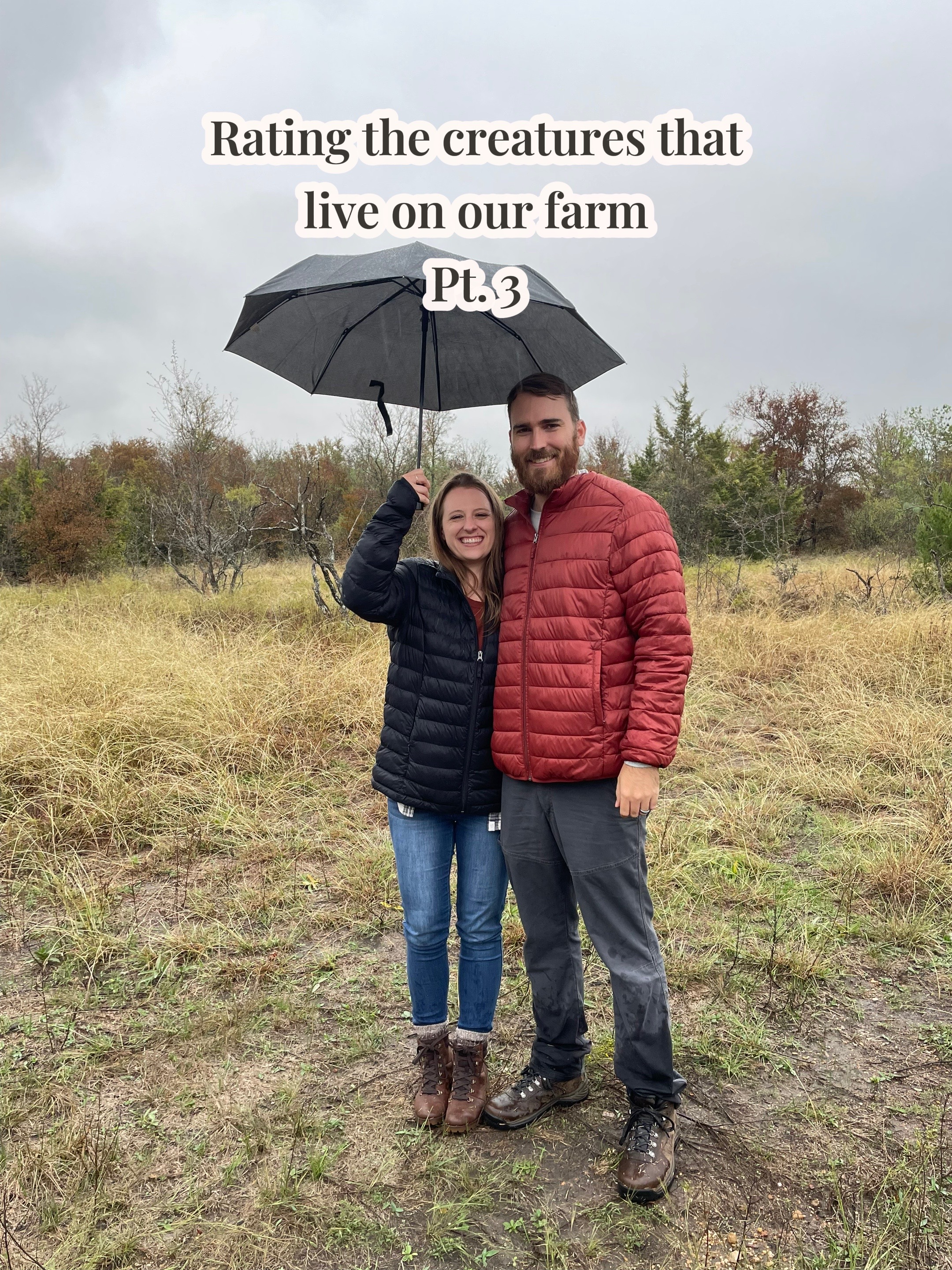 @Dewy Acres Farmstead | Laura