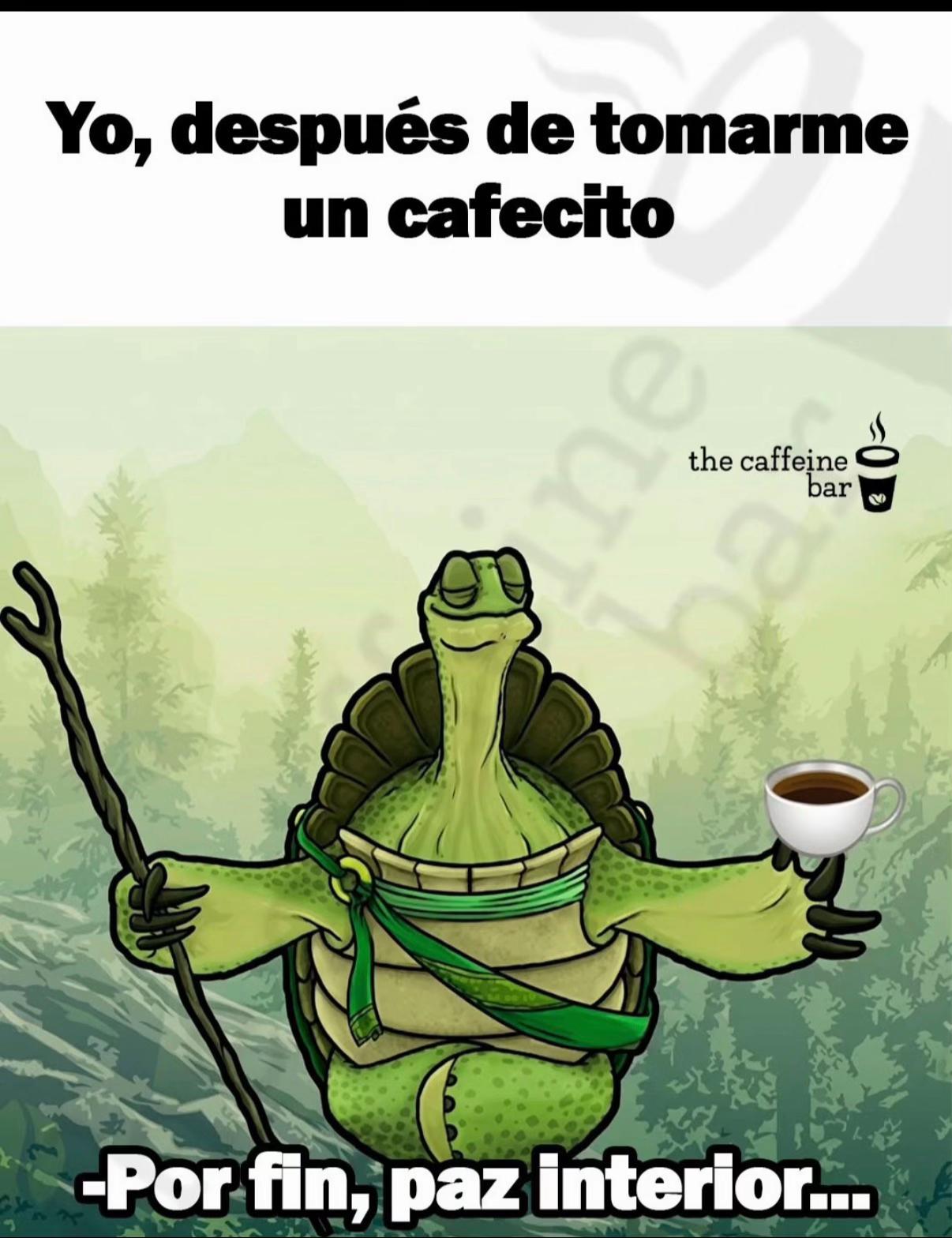 @nancy.lu.mexico. CDT