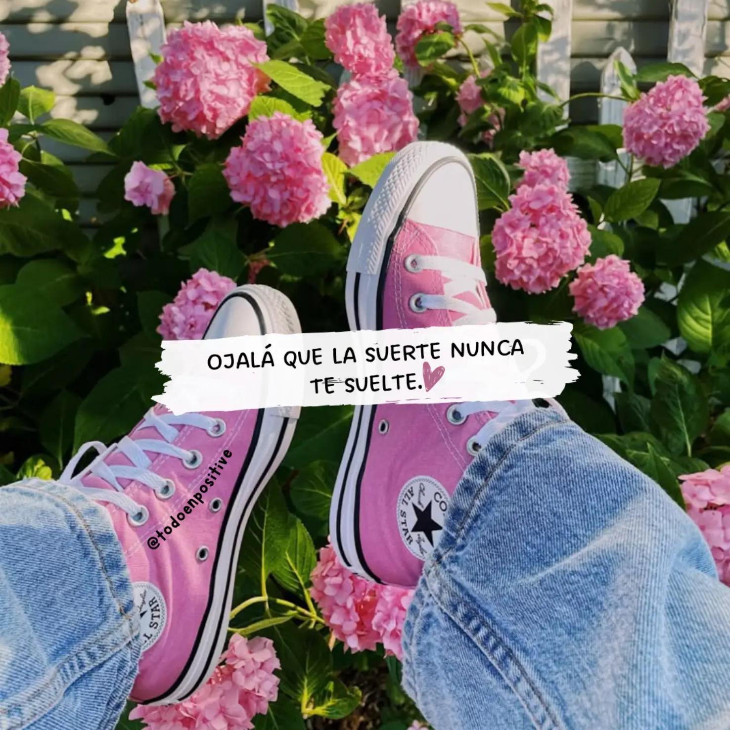 @Todo en Positivo🌻