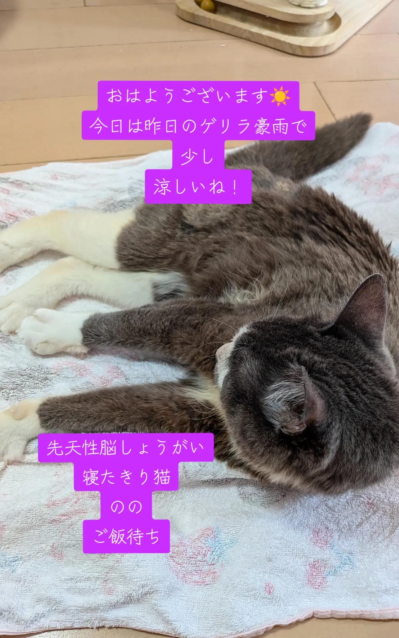@てんきな