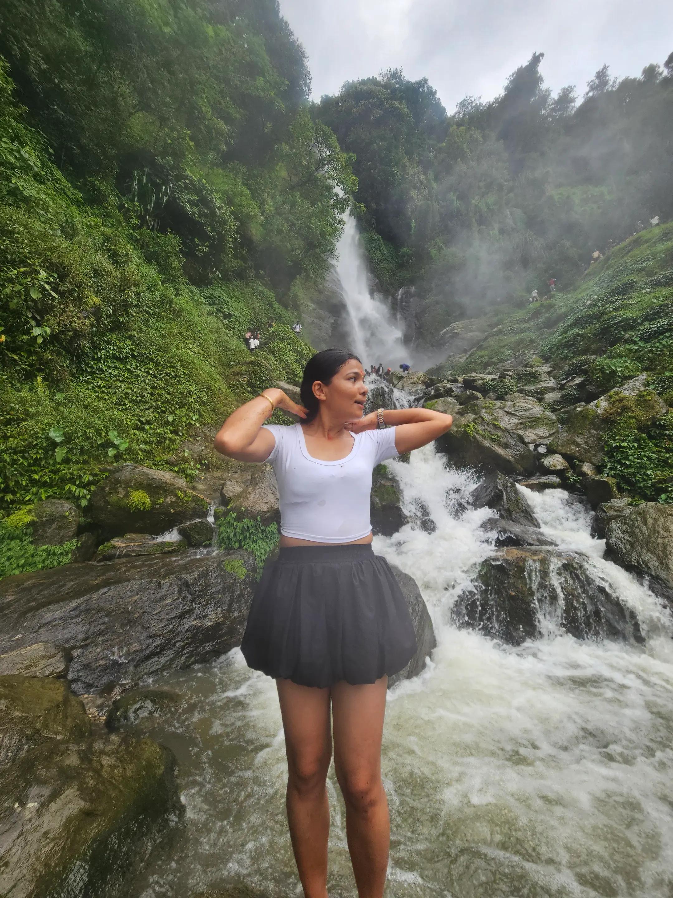@🕊️