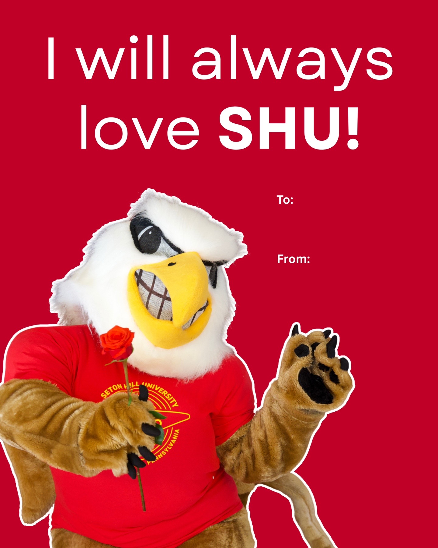 @Seton Hill University