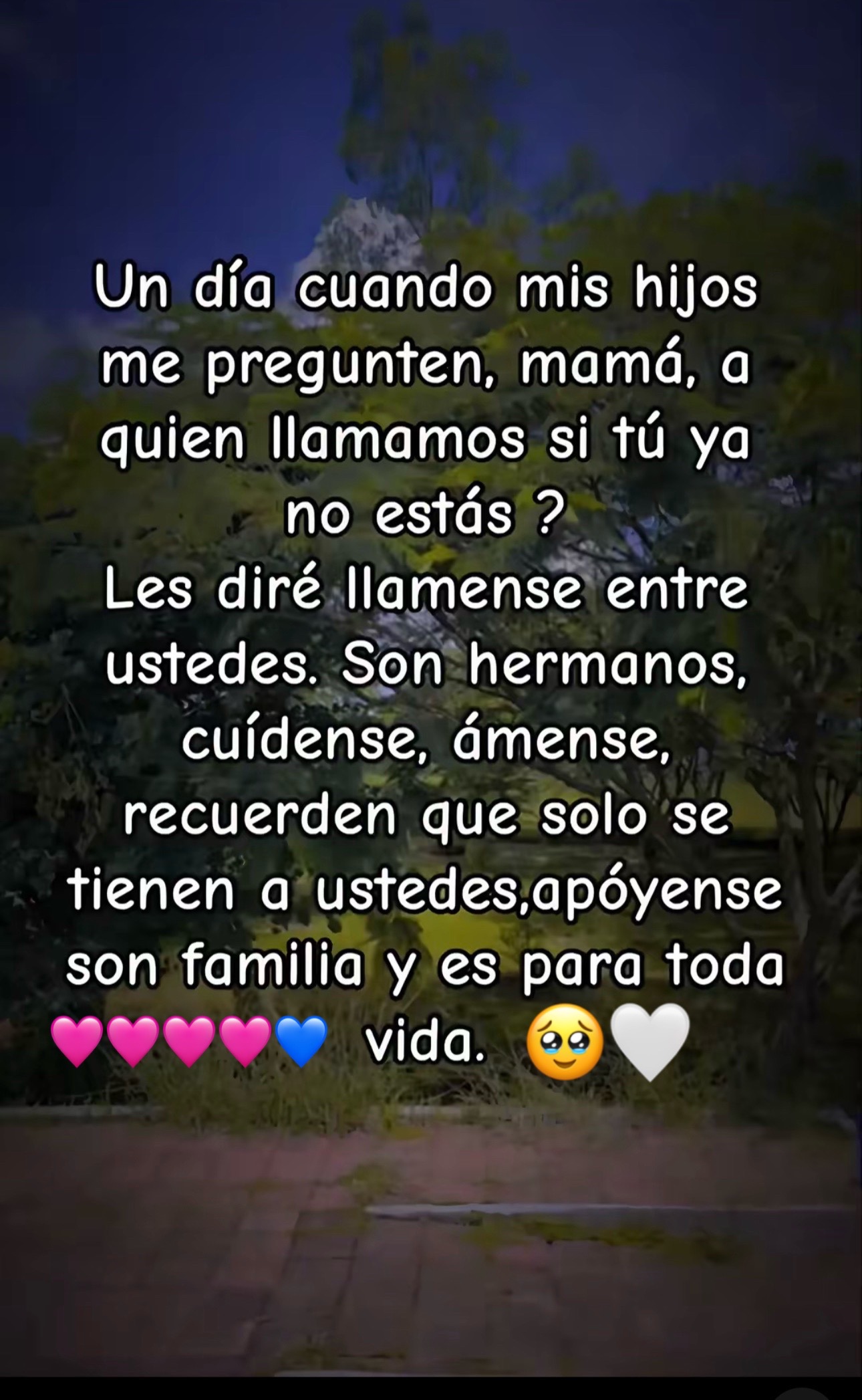 @💜🌋🤝🦂YURUBI♾️🦋🌻🎗️🐨🦁