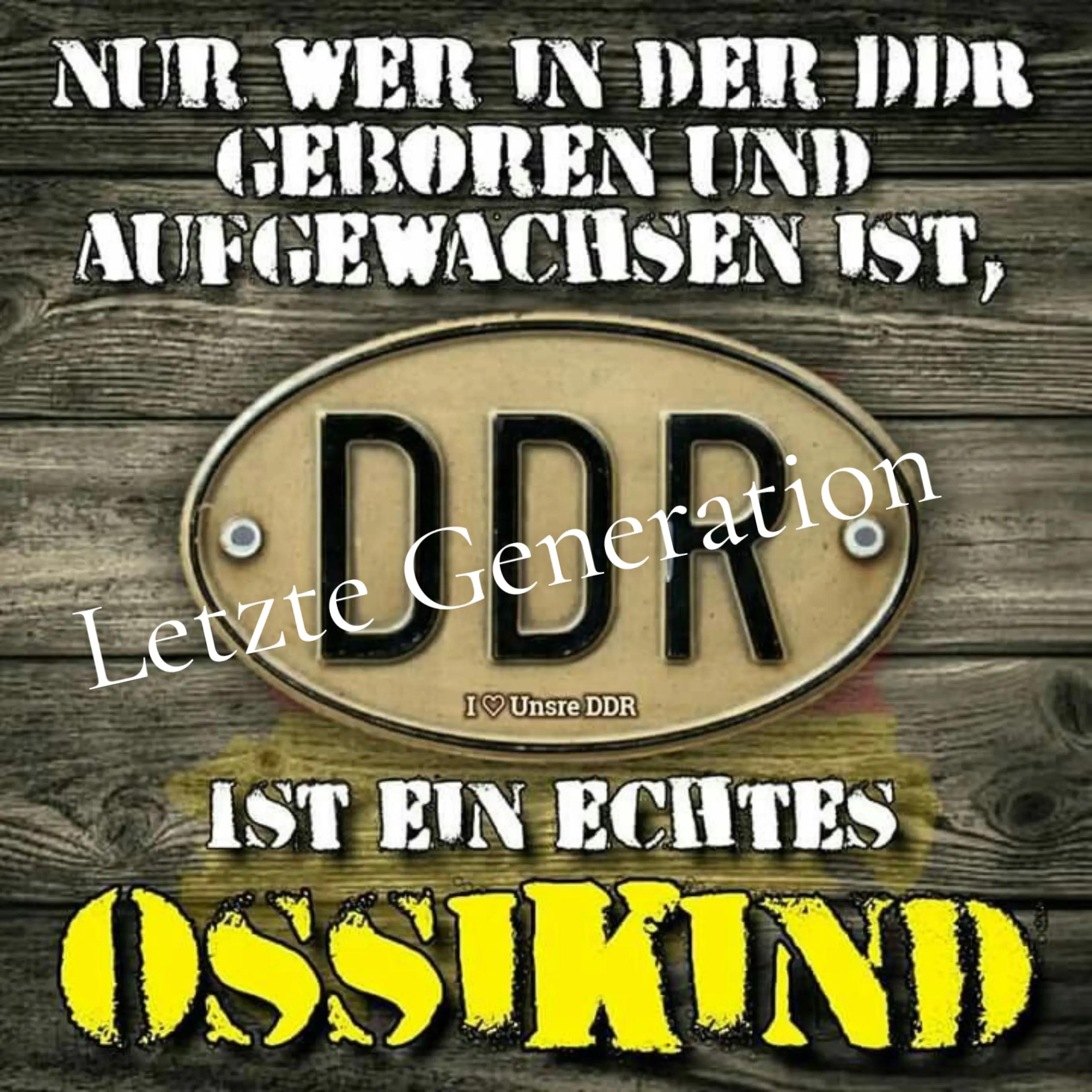 @๐ ๐Ines๐ ๐