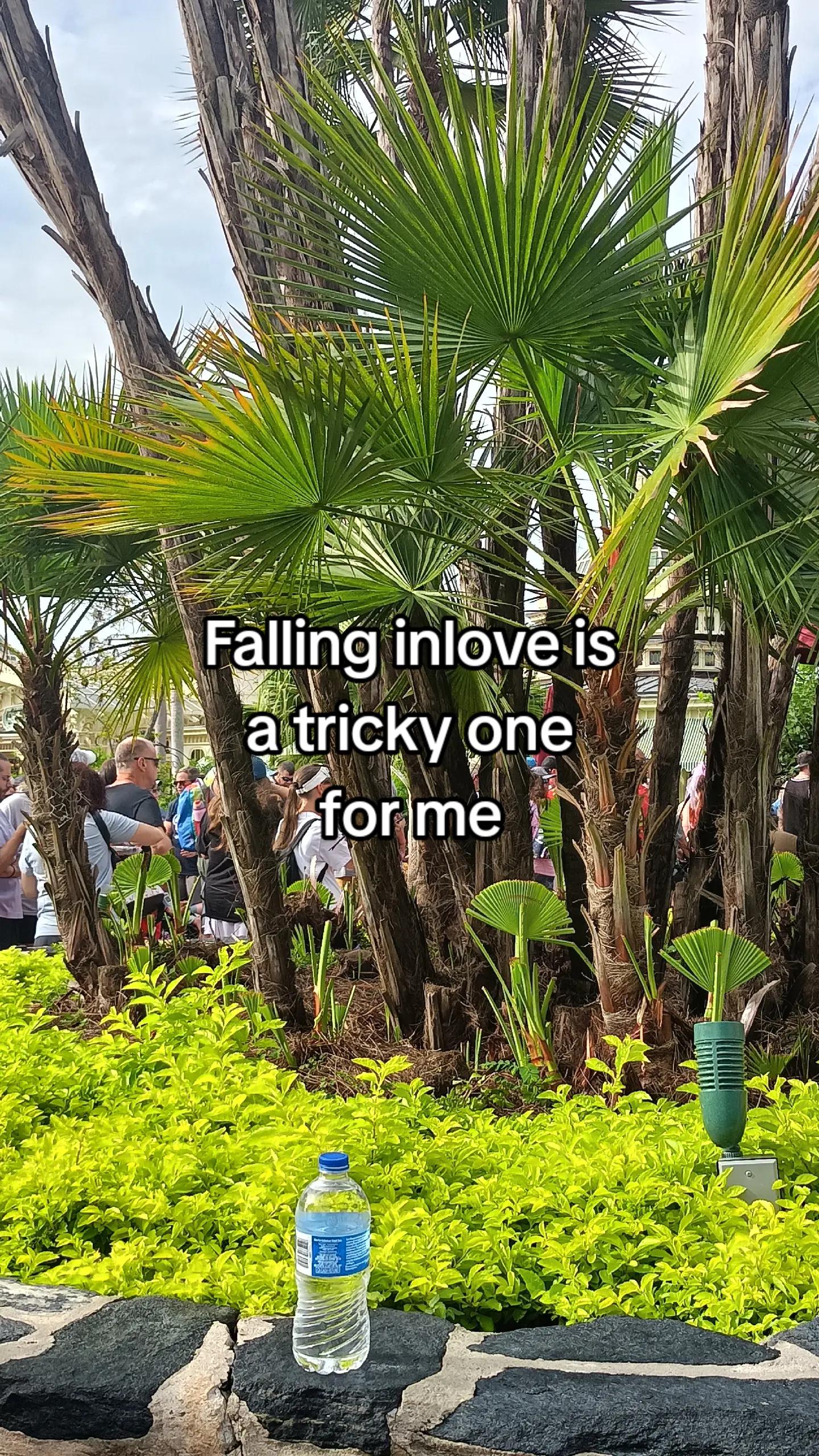 @🍂
