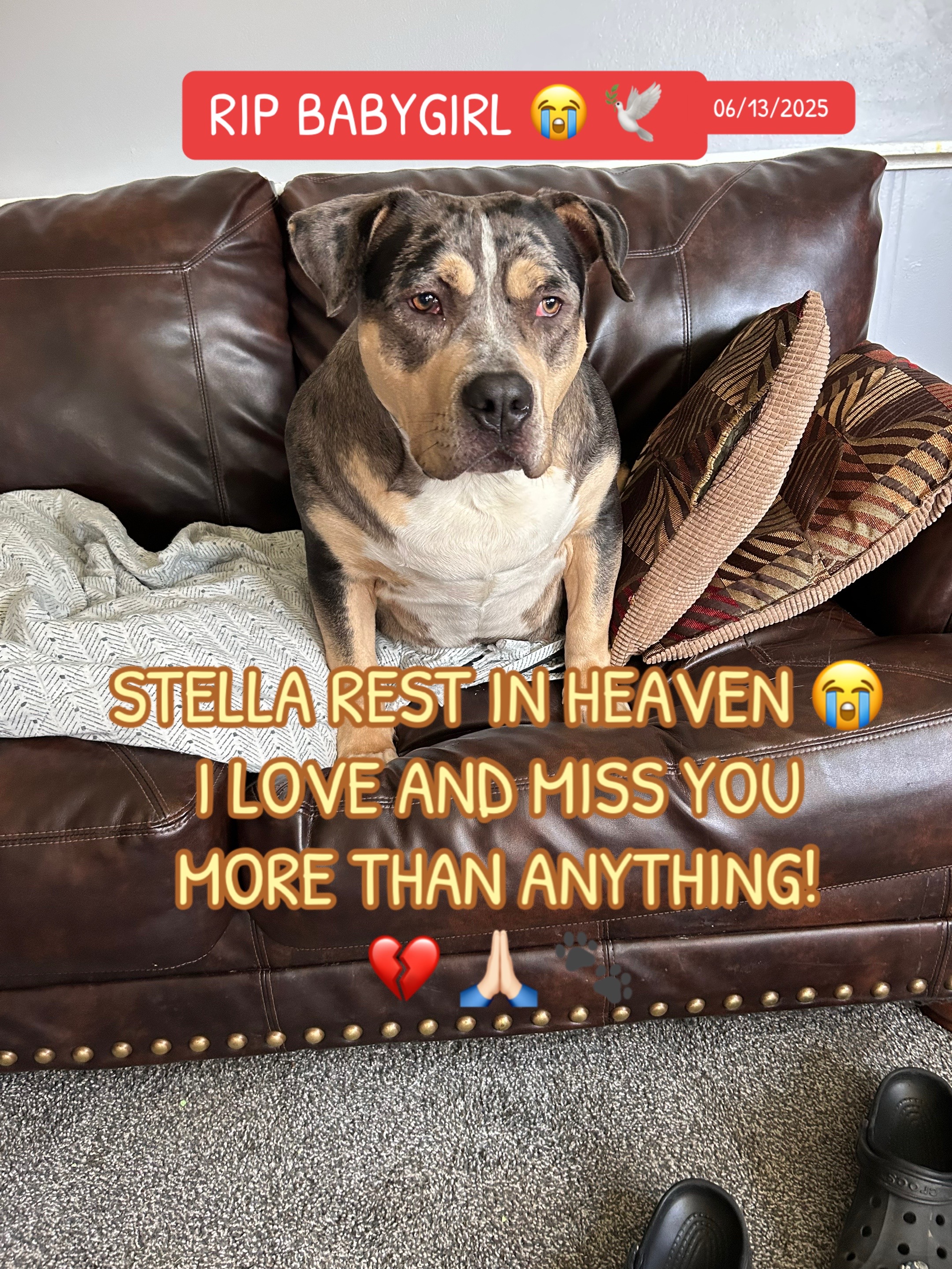 @Katelyn&bull;Rankin&bull;BigRBullies