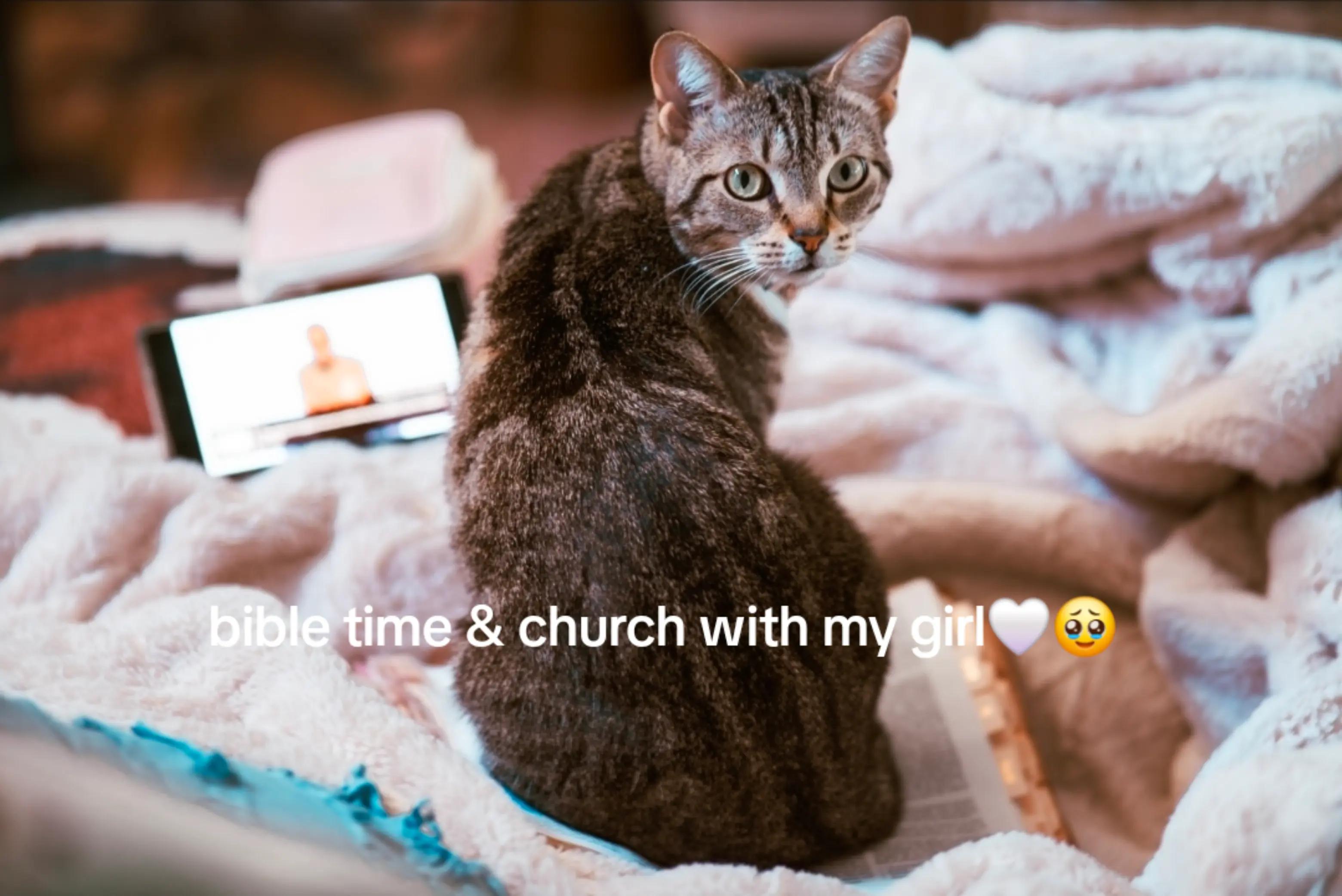 @Sami Renae ✞
