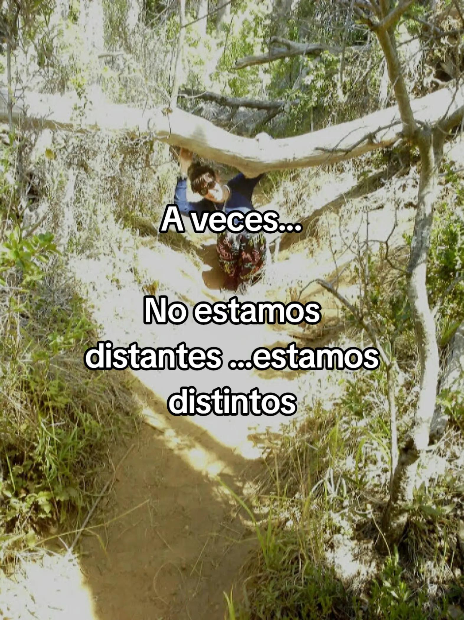 @psicóloga ele⭐💕