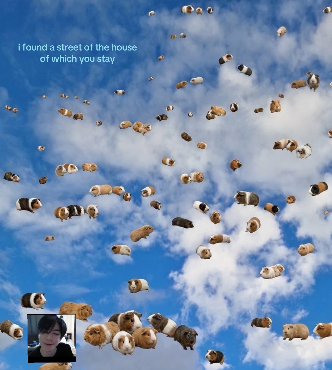@"keep going big doggo" -ohm 🪼