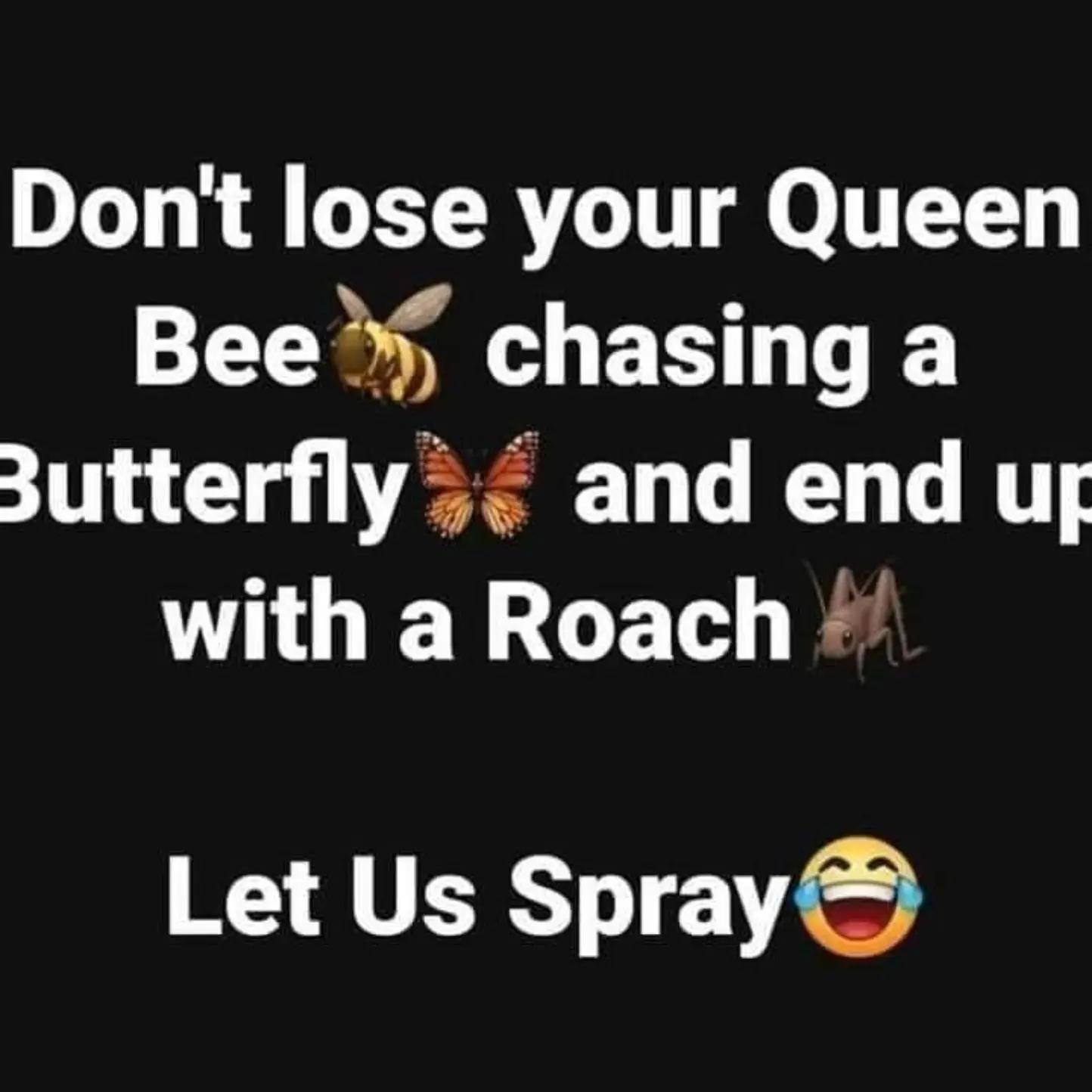 @loucalomese